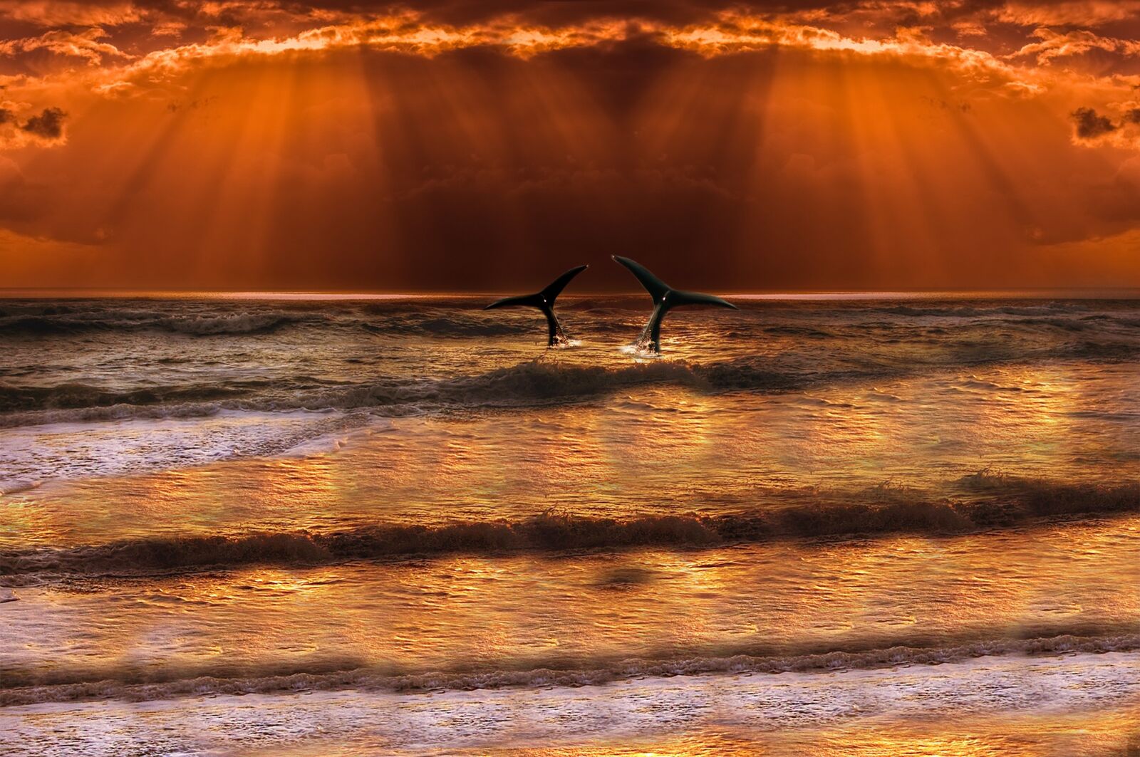Nikon D40 sample photo. Sea, wave, whale photography