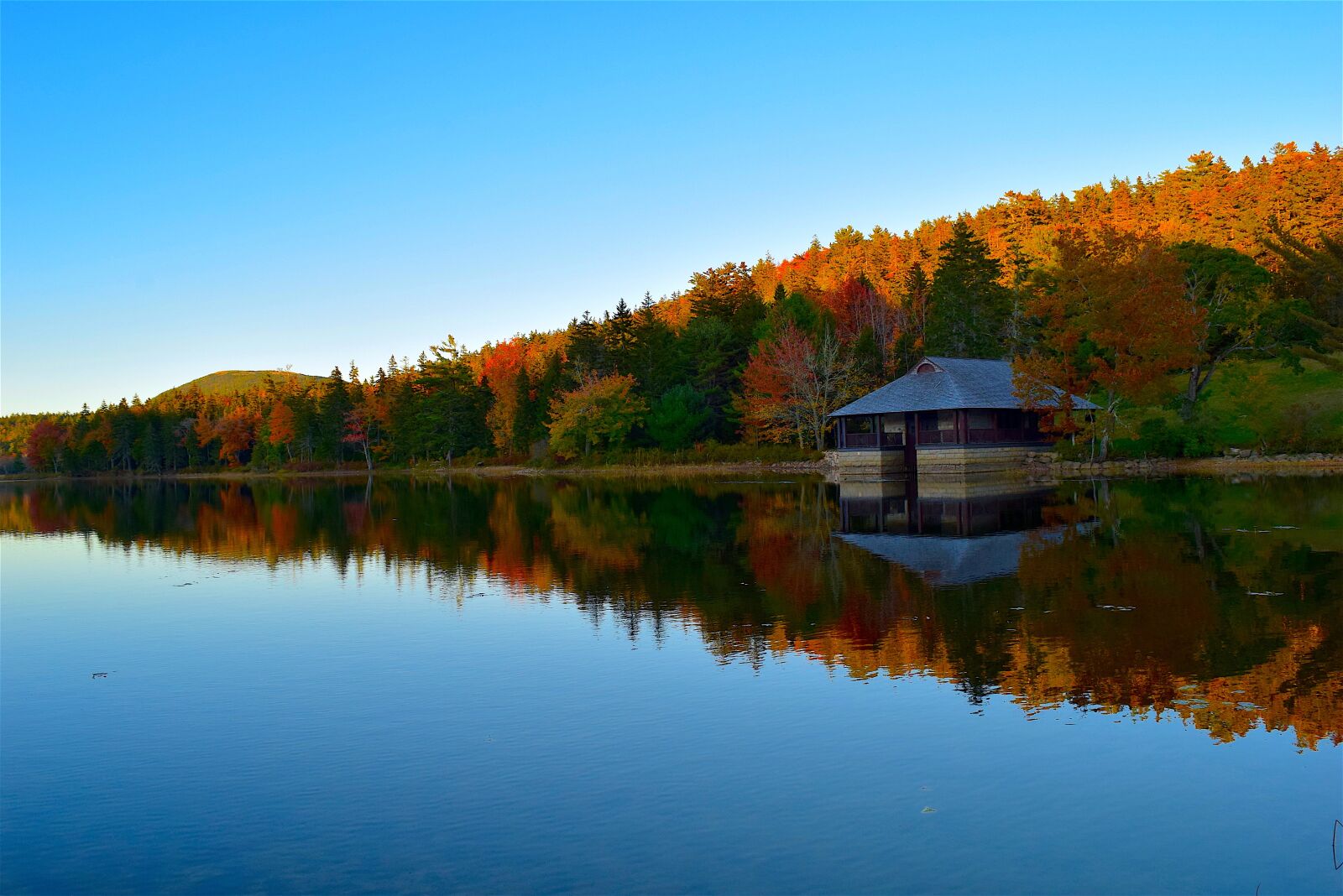 Nikon D3300 sample photo. Lake, trees, foliage photography