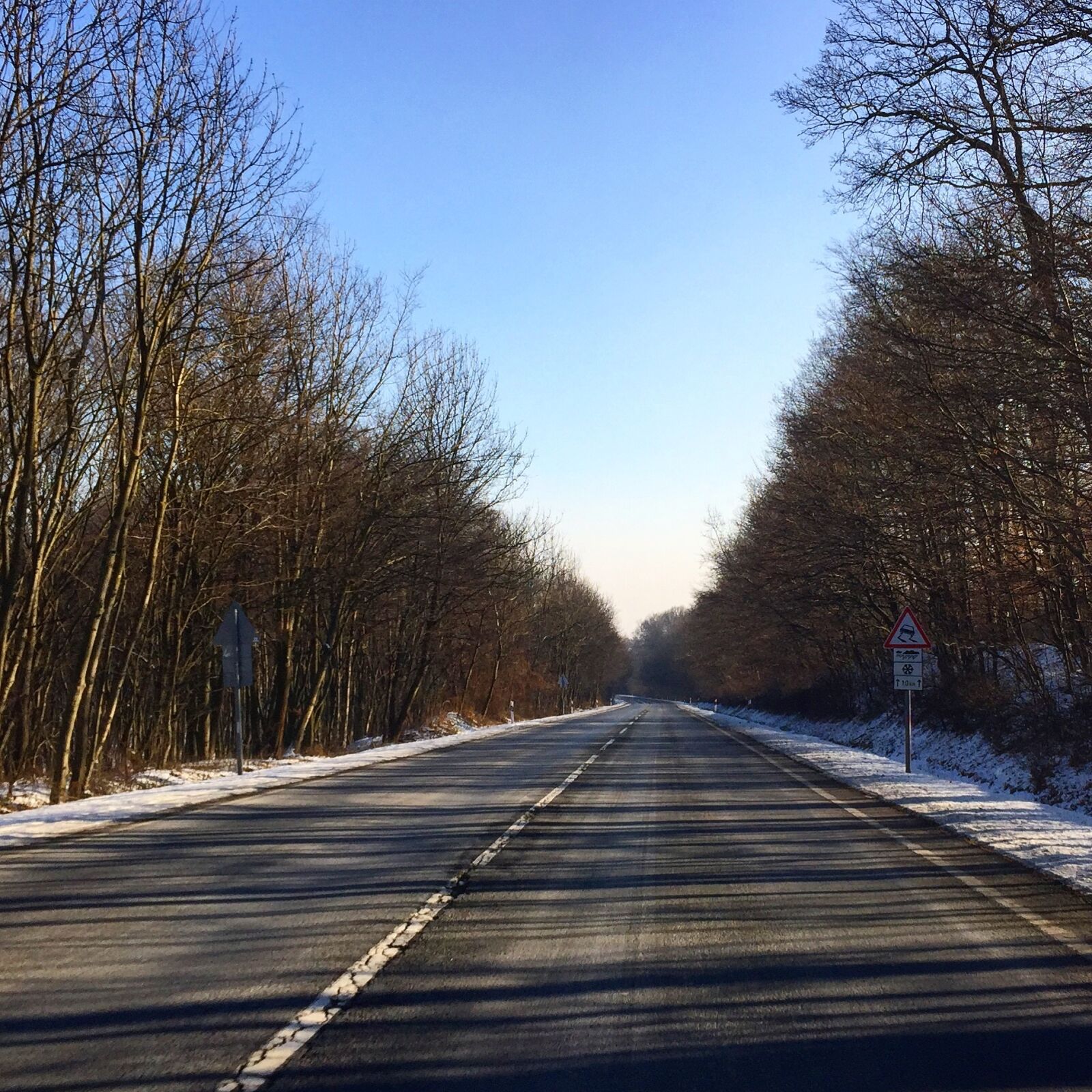 Apple iPhone 6 sample photo. Winter, road, forest photography