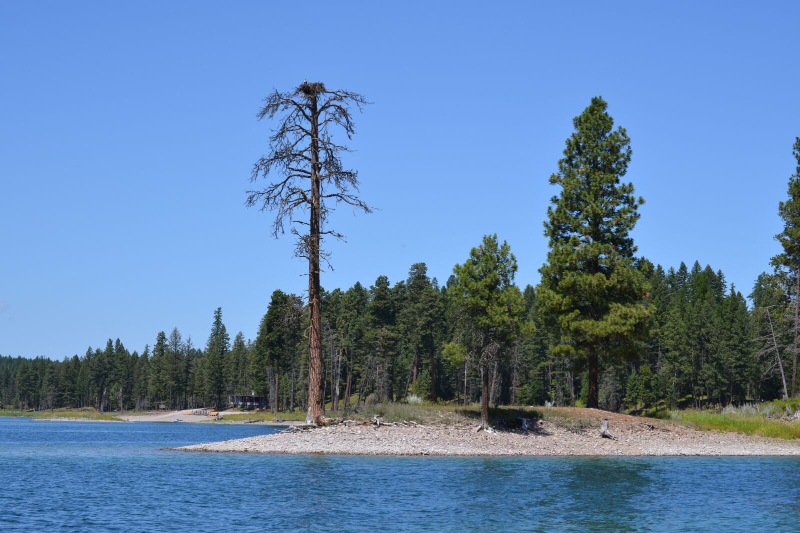 Nikon D3100 sample photo. Trees, lake, nature photography