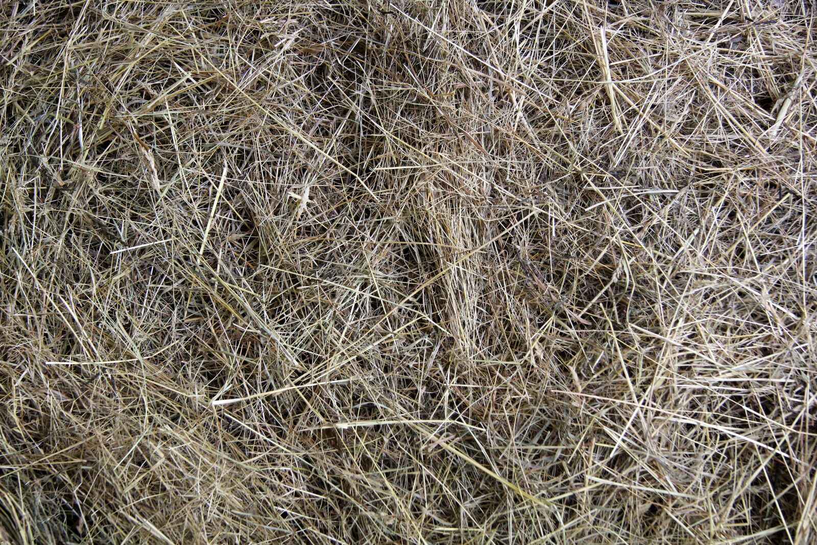 Canon EF-S 17-85mm F4-5.6 IS USM sample photo. Hay, straw, agriculture photography