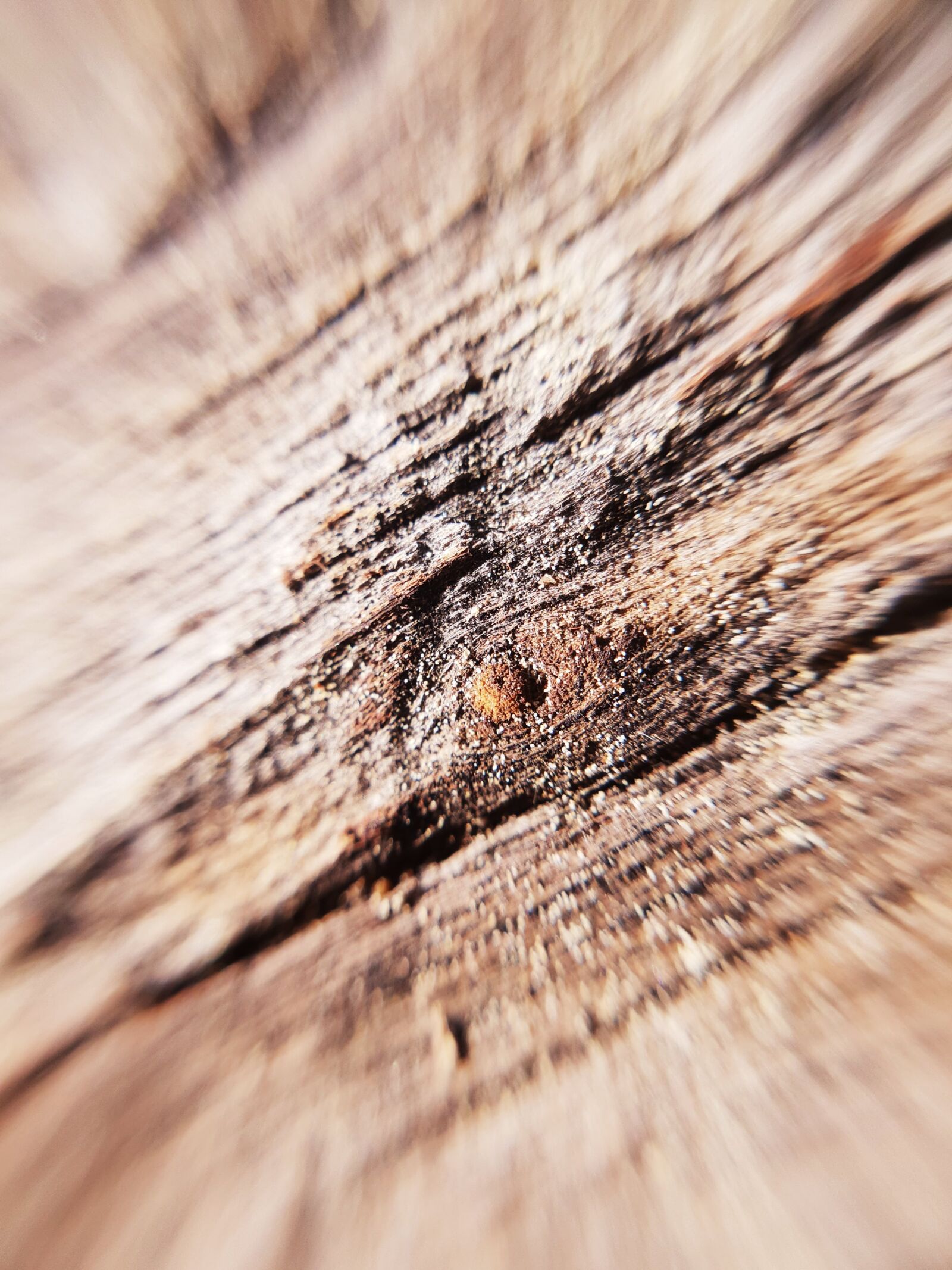 Samsung Galaxy S9 sample photo. Wood, structure, close up photography