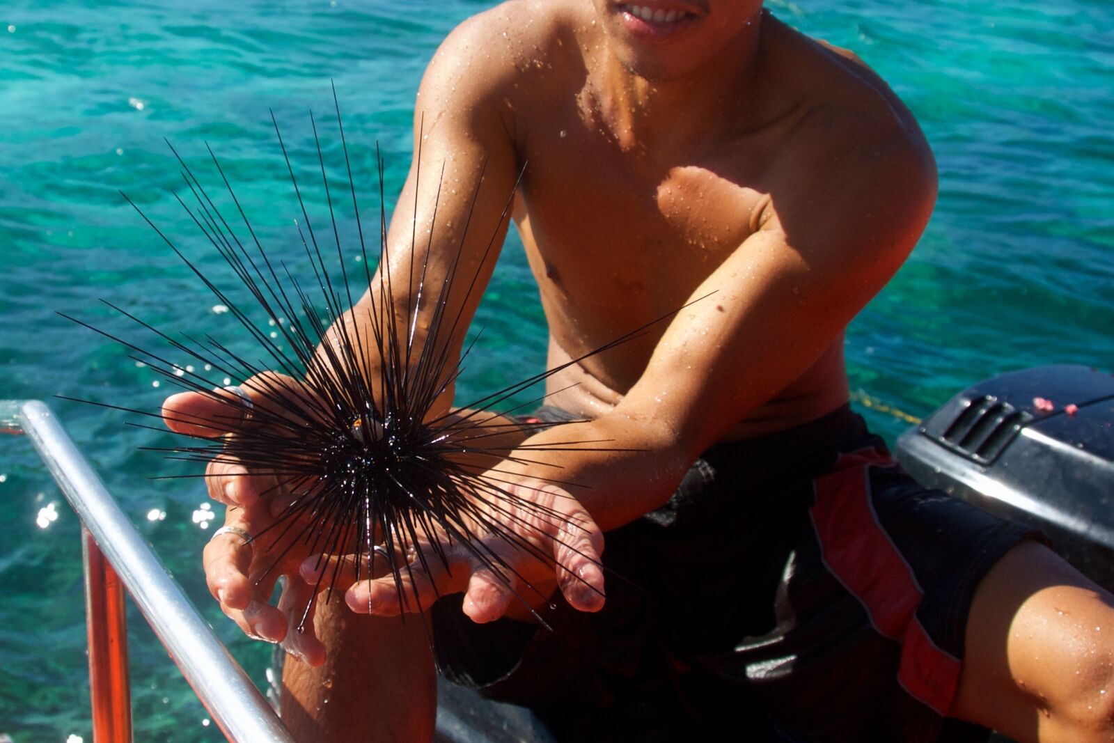 Nikon D200 sample photo. Scenery, ocean, sea photography