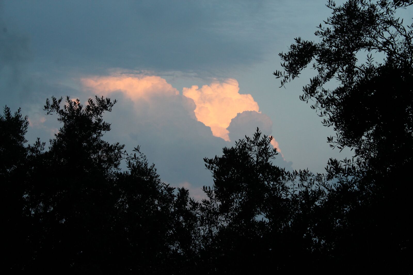 Canon EOS 1100D (EOS Rebel T3 / EOS Kiss X50) sample photo. Sky, sunset, nature photography