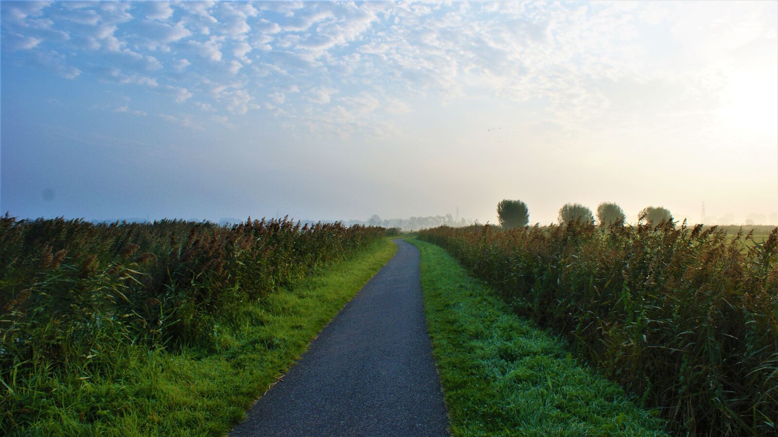 Sony Alpha DSLR-A350 sample photo. Road, street, asphalt photography