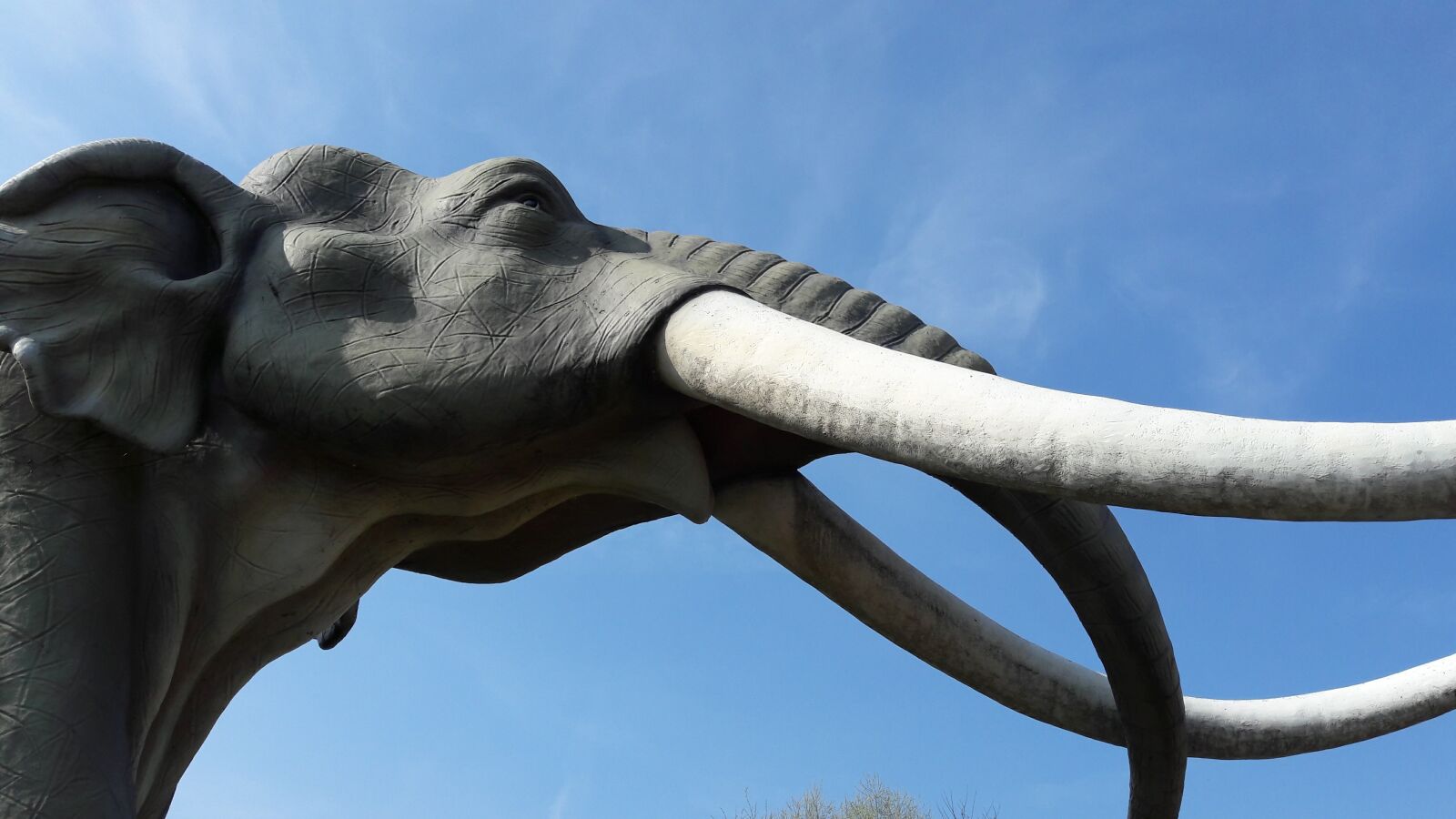 Samsung Galaxy A5(2016) sample photo. Mammoth, nature, prehistoric times photography