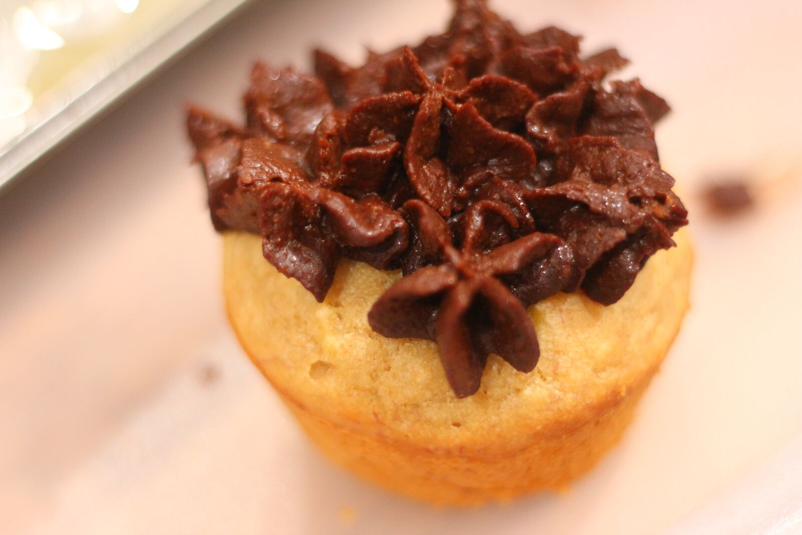 Canon EOS 550D (EOS Rebel T2i / EOS Kiss X4) sample photo. Muffin, cake, homemade photography
