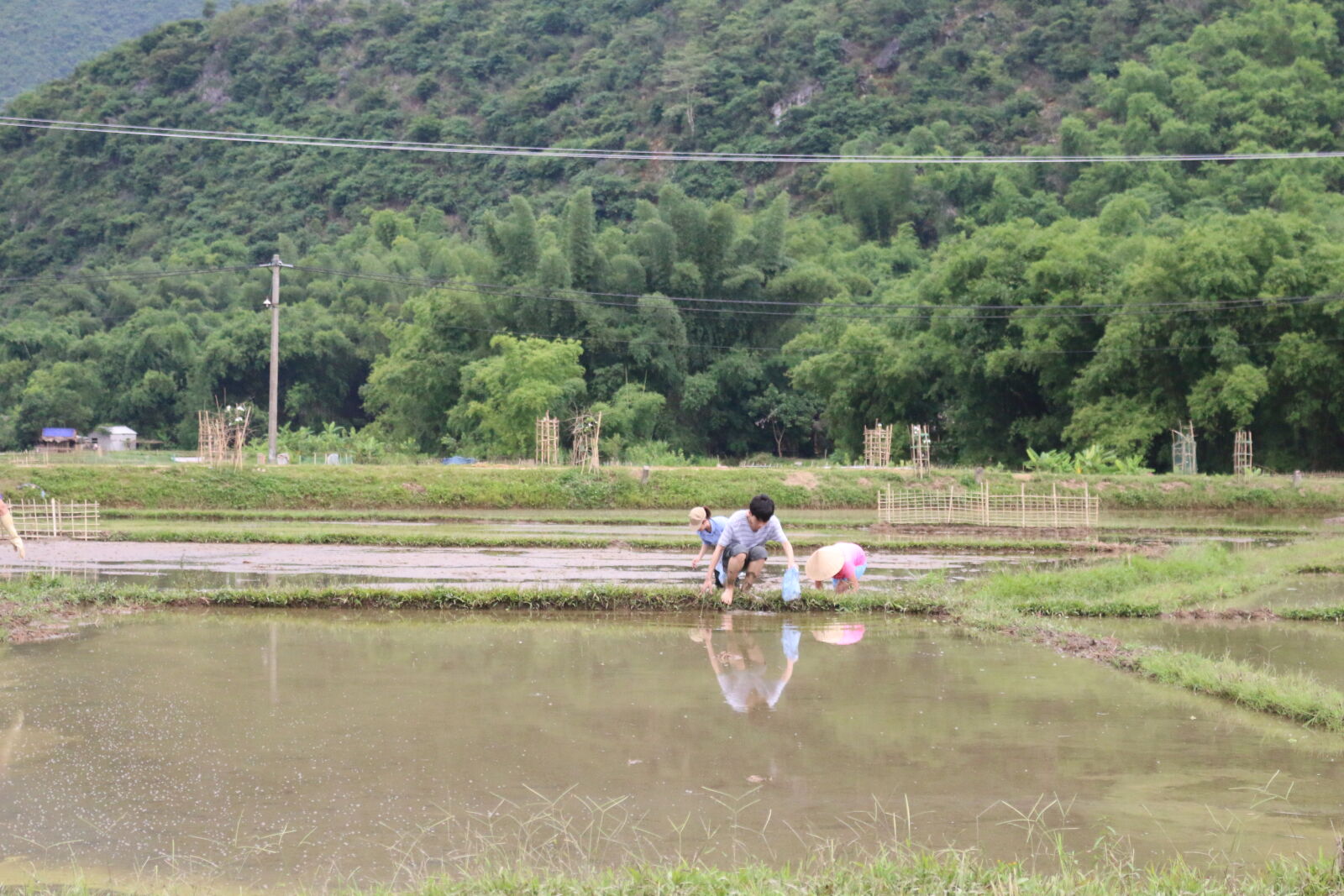 Canon EOS 70D sample photo