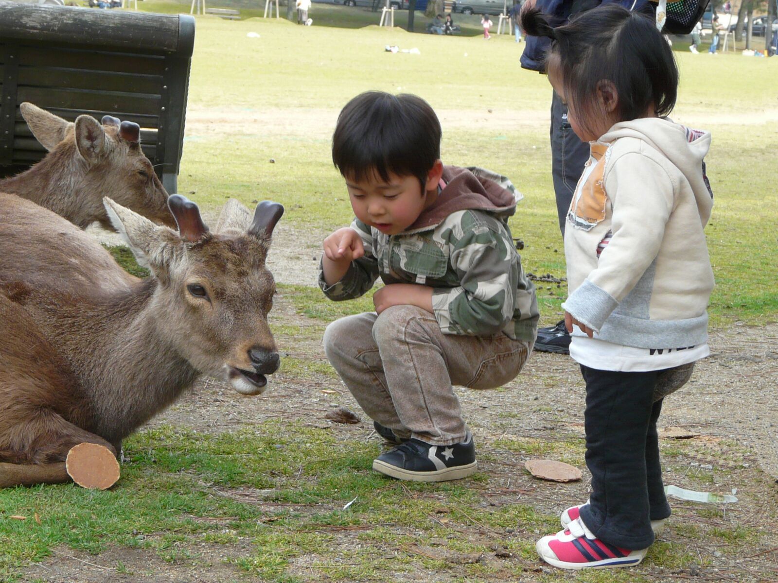 Panasonic DMC-FZ18 sample photo. Japan, nara, garden photography