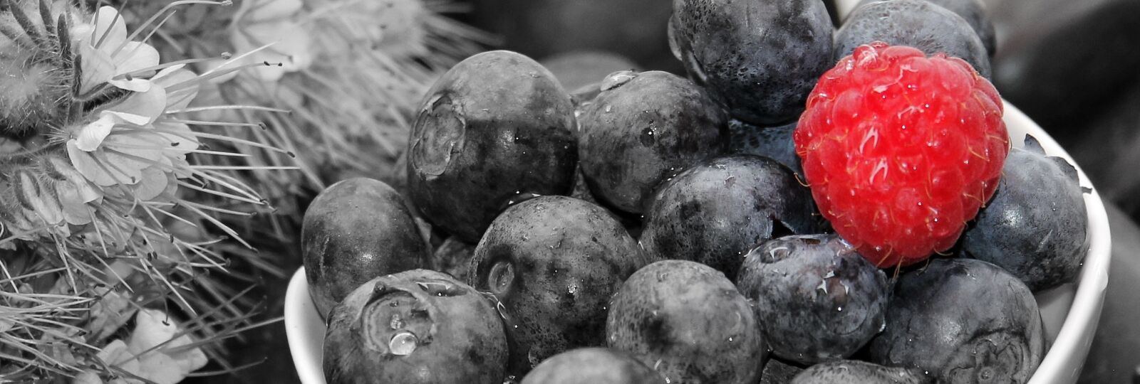 Canon EOS 550D (EOS Rebel T2i / EOS Kiss X4) sample photo. Blueberries, raspberry, fruits photography