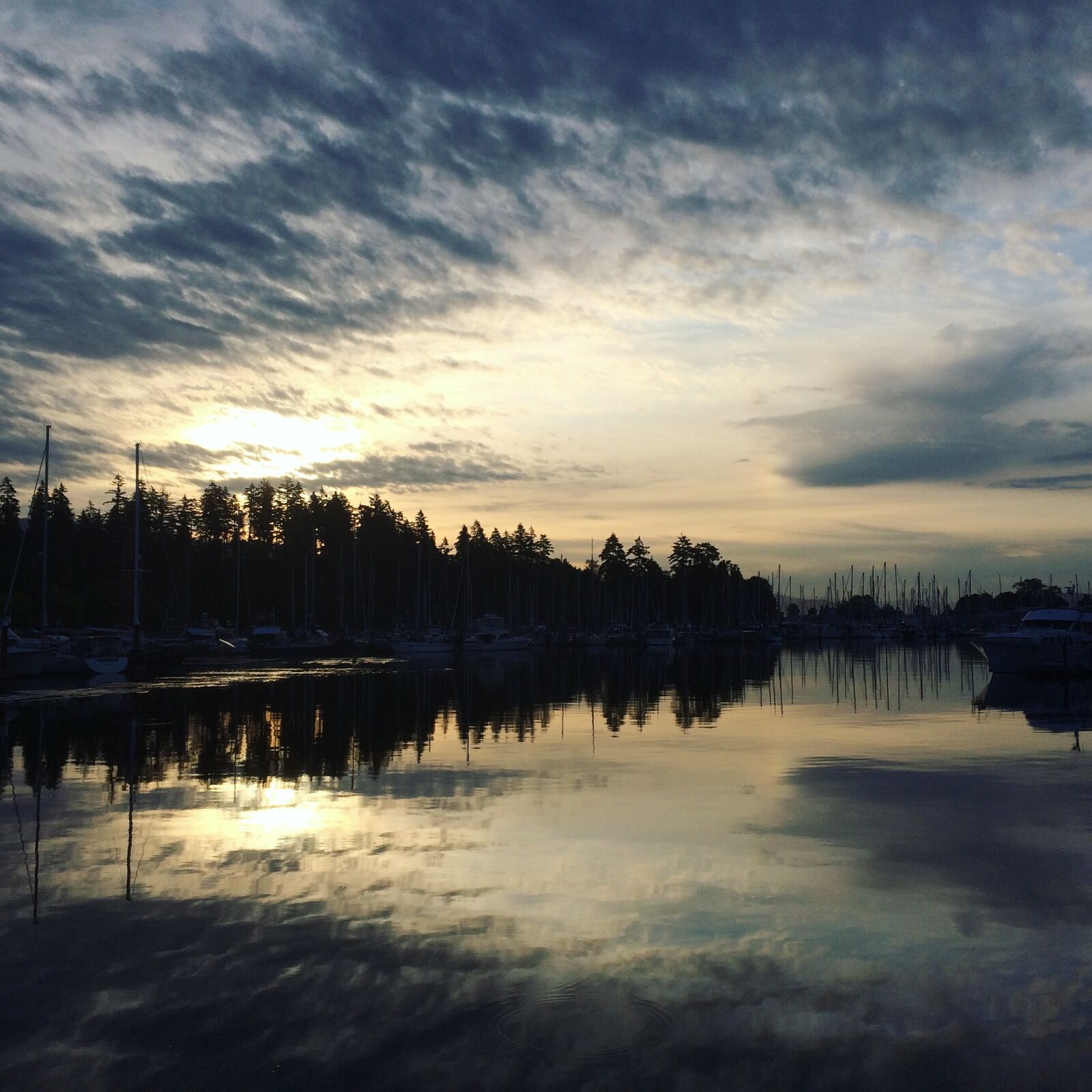 iPhone 5s back camera 4.15mm f/2.2 sample photo. Sunrise, park, vancouver photography