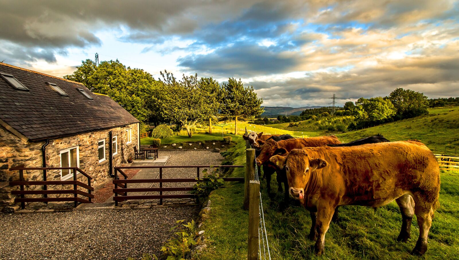 Canon EOS 70D + Canon EF-S 10-18mm F4.5–5.6 IS STM sample photo. Scotland, cows, highlands and photography