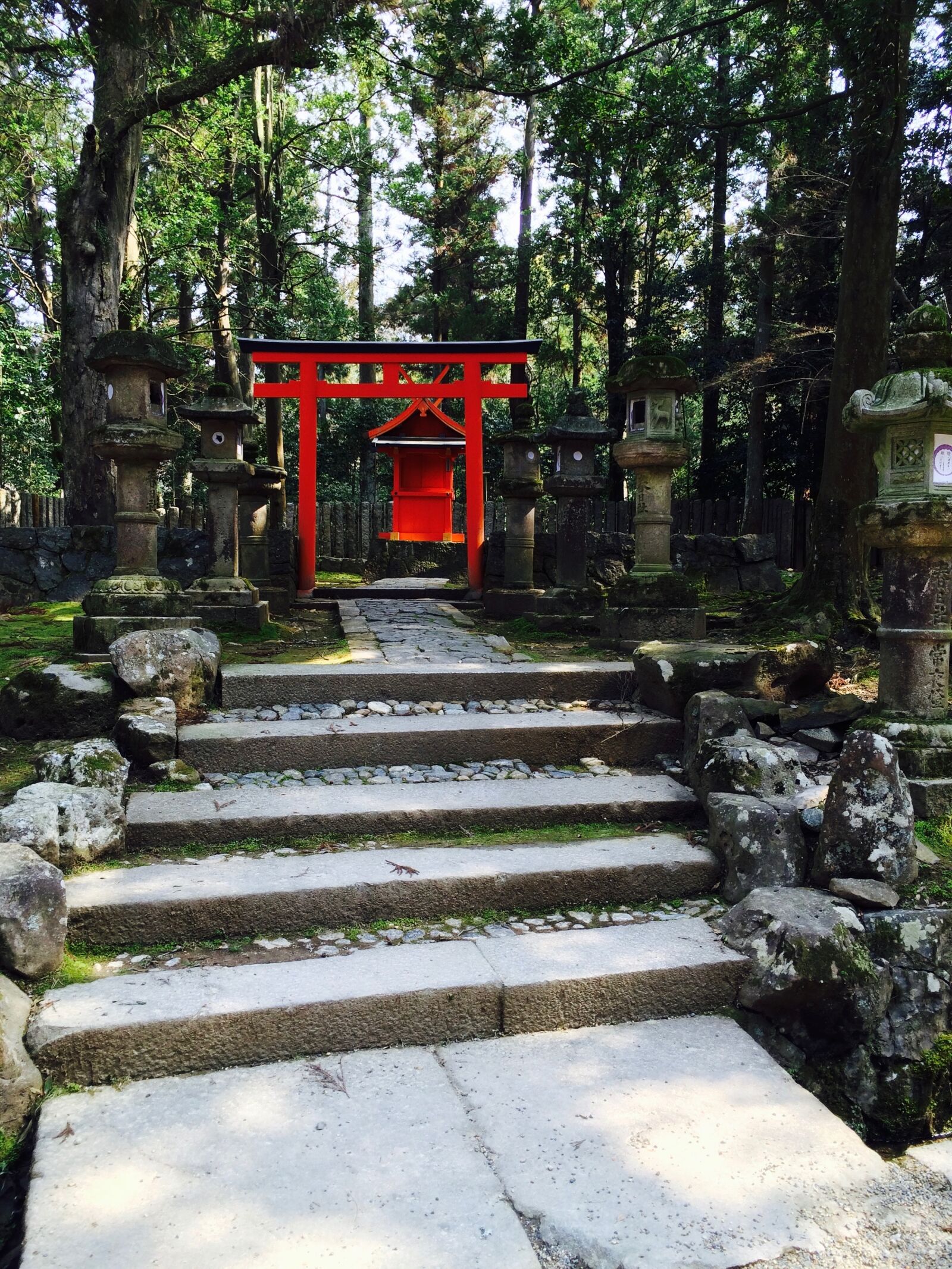 iPhone 5s back camera 4.12mm f/2.2 sample photo. Shrine, torii, road photography