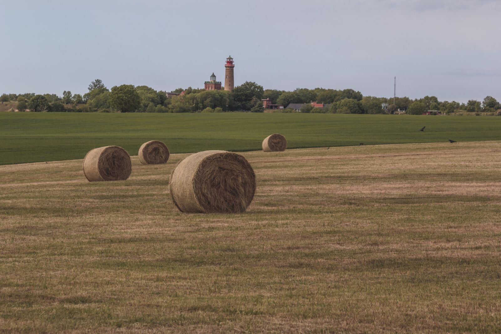 Canon EOS 60D + Canon EF-S 55-250mm F4-5.6 IS sample photo. Hay bales, land, nature photography
