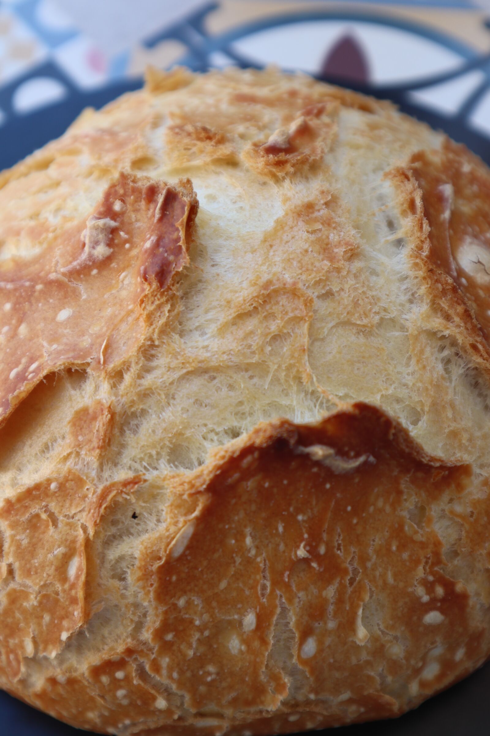 Canon EOS M50 (EOS Kiss M) sample photo. Bread, loaf, food photography