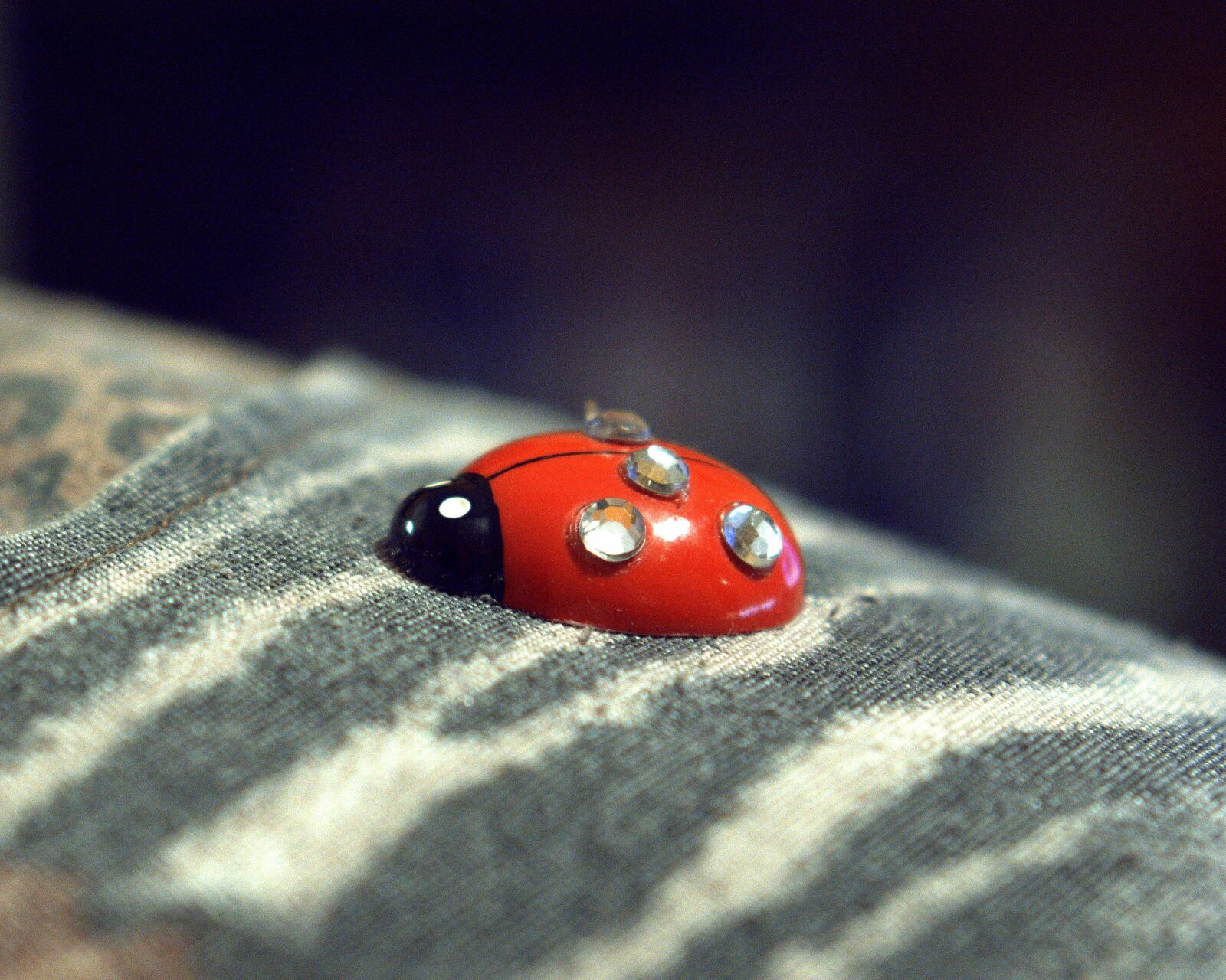 E 50mm F1.8 OSS sample photo. Beetle, artificial, decoration photography