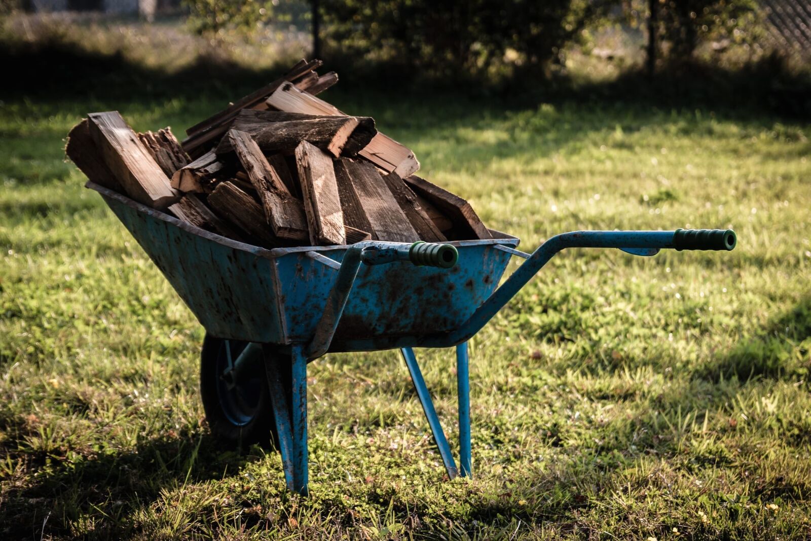 Canon EOS 70D sample photo. Handcart, metal, firewood, grass photography