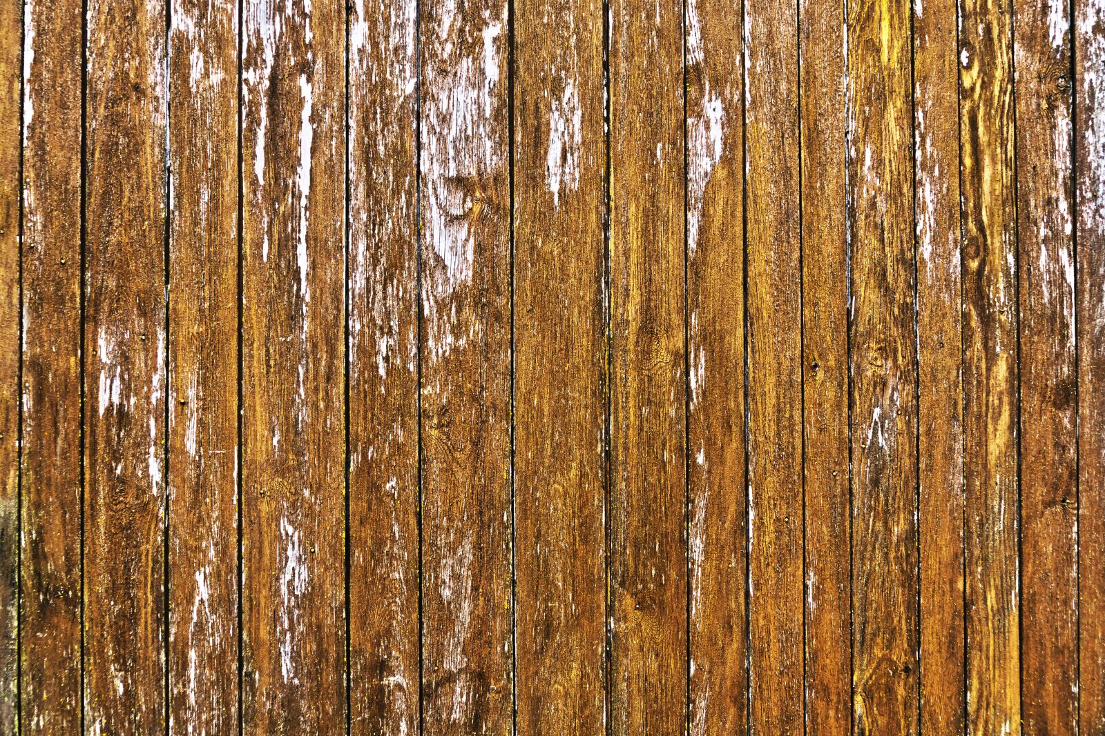 Panasonic Lumix DMC-FZ1000 sample photo. Wood, boards, wooden gate photography