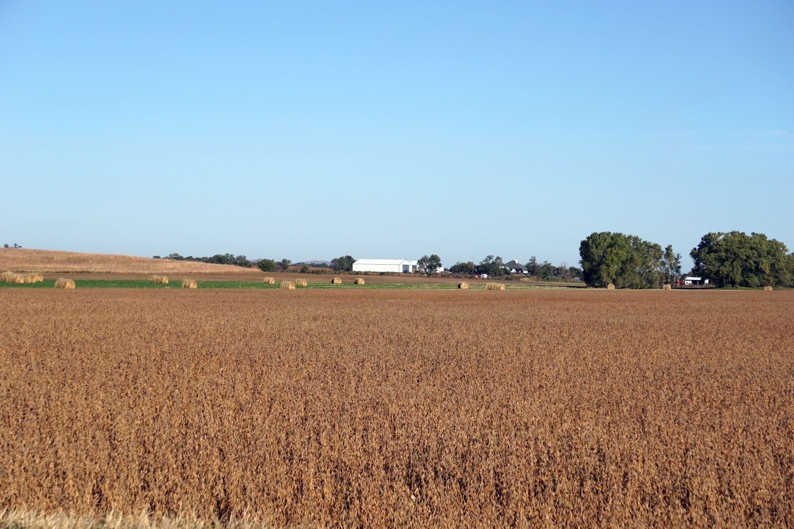 Sony E 55-210mm F4.5-6.3 OSS sample photo. Kansas, agriculture, farm photography