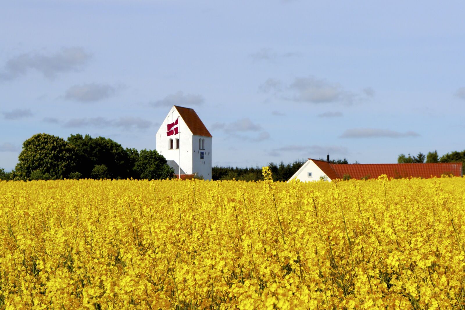 Panasonic Lumix DMC-G3 sample photo. Church, sky, yellow photography