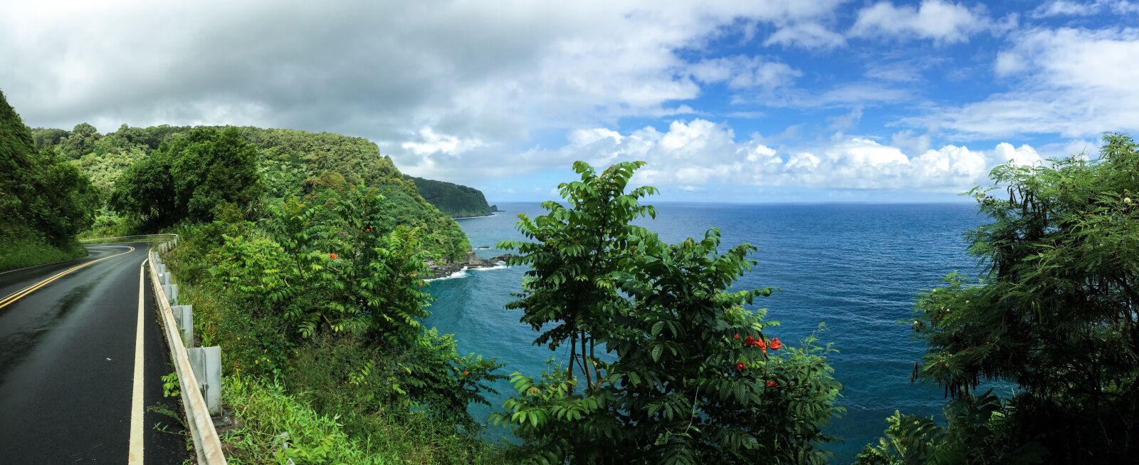 iPhone 6 Plus back camera 4.15mm f/2.2 sample photo. Hawaii, hana, road photography