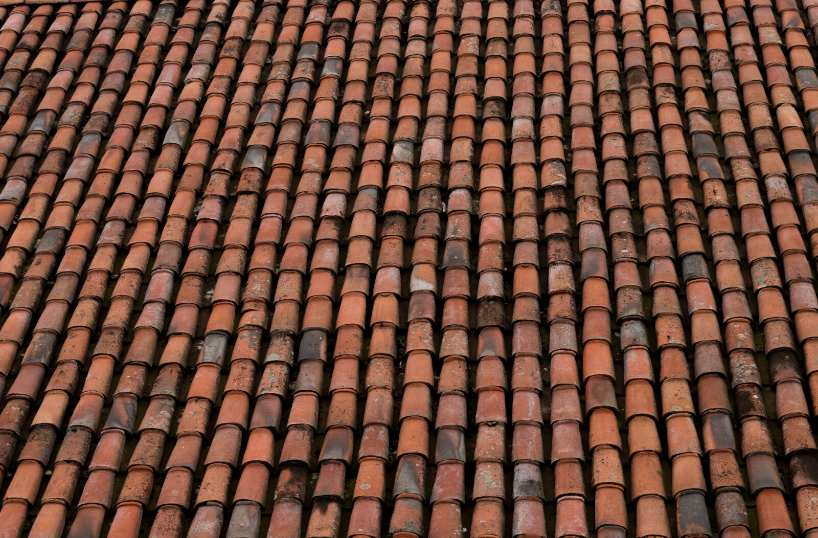 Canon EOS 70D + Canon EF 50mm F1.8 STM sample photo. Church, colors, old, building photography