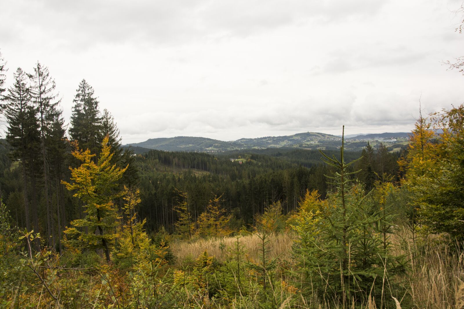 Nikon D5200 sample photo. Autumn, forest, mountains photography