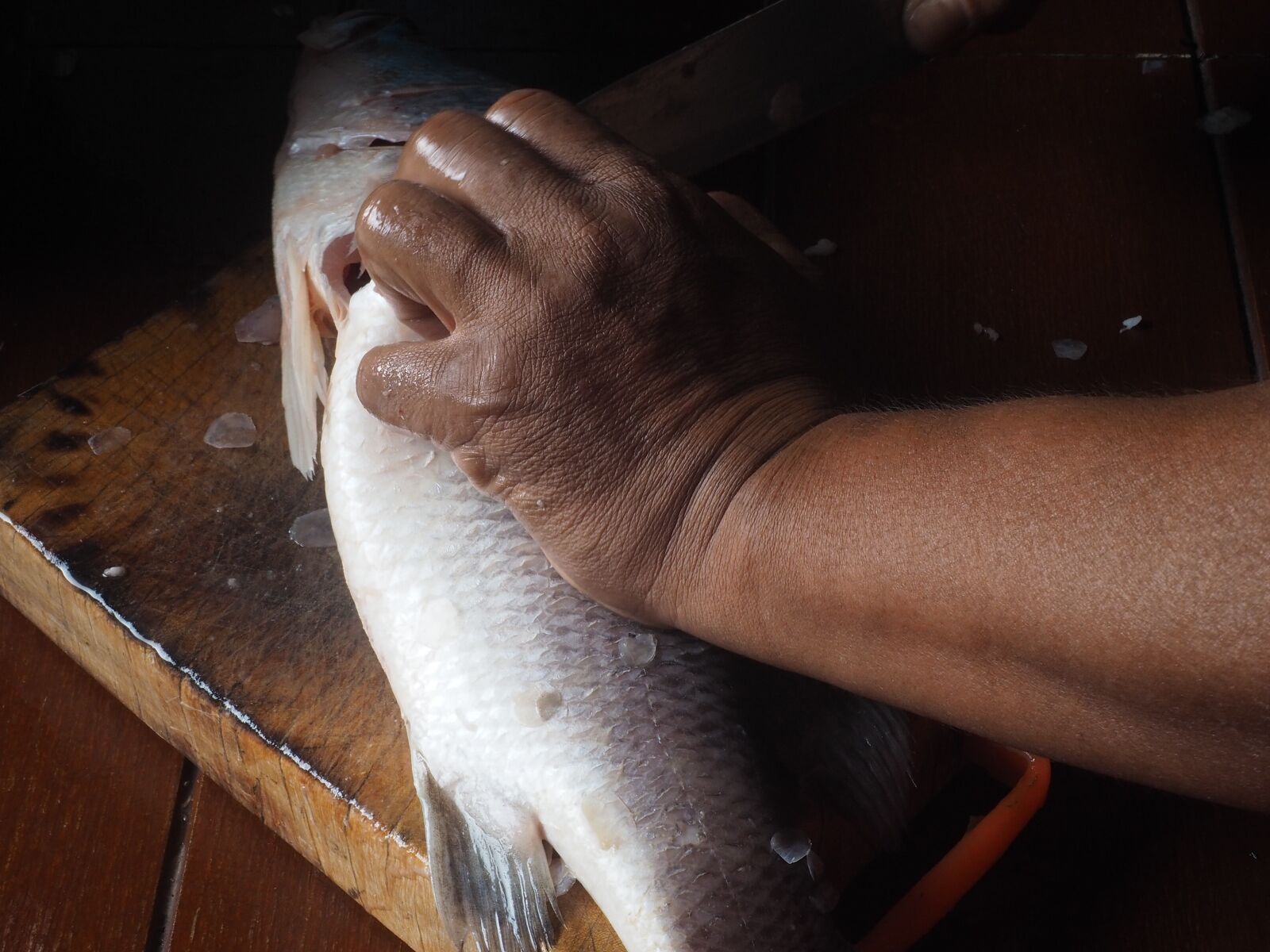 Olympus OM-D E-M10 II sample photo. Fish, food, seafood photography