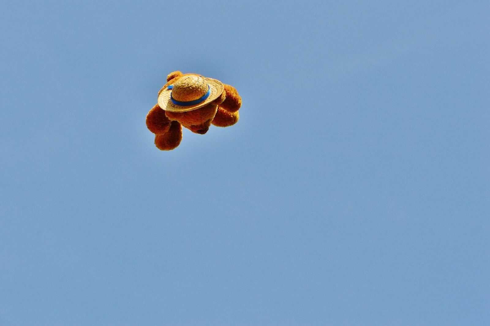 Nikon D3200 sample photo. Flying teddy, funny, teddy photography