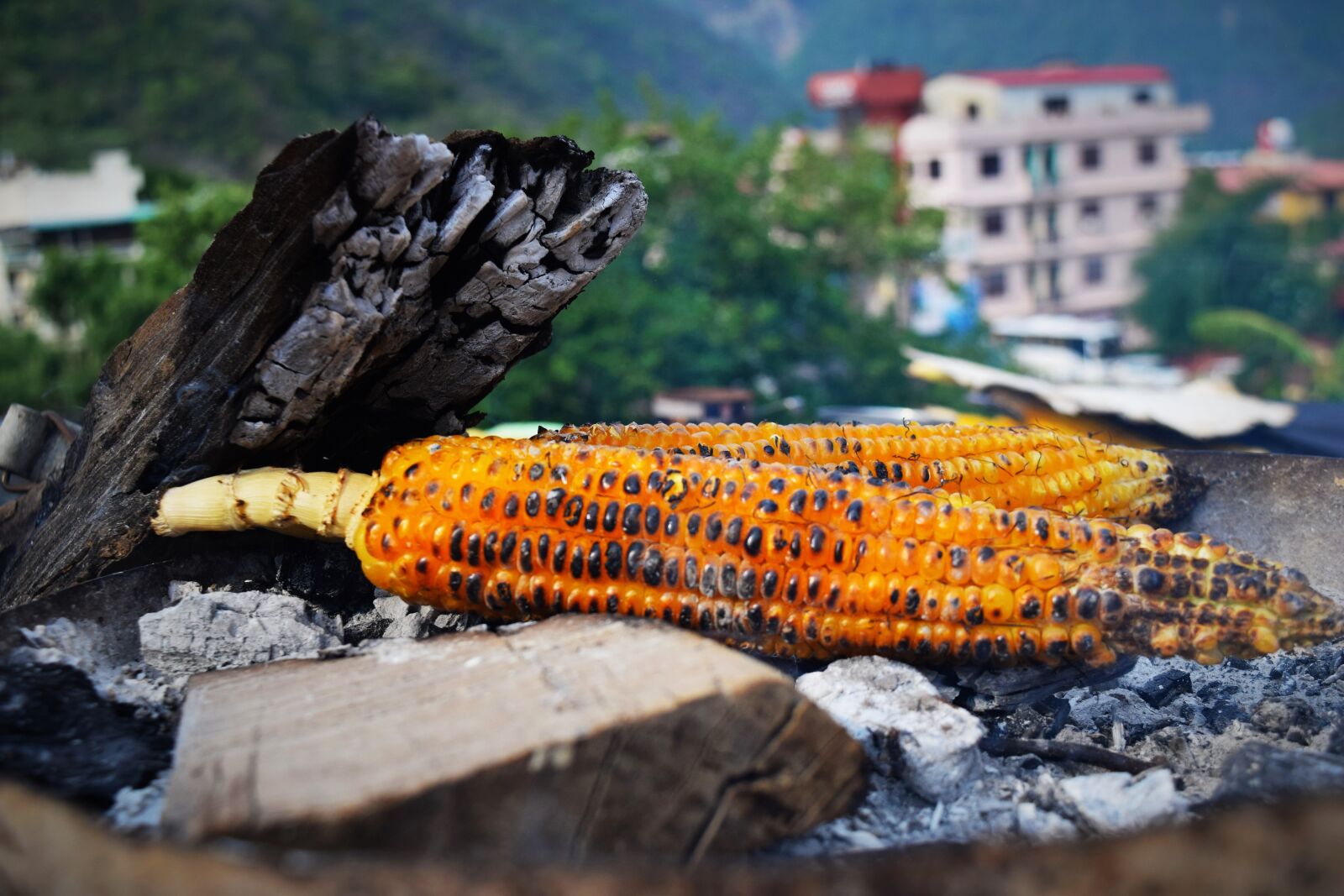 Nikon D3300 sample photo. India, rishikesh, travel photography