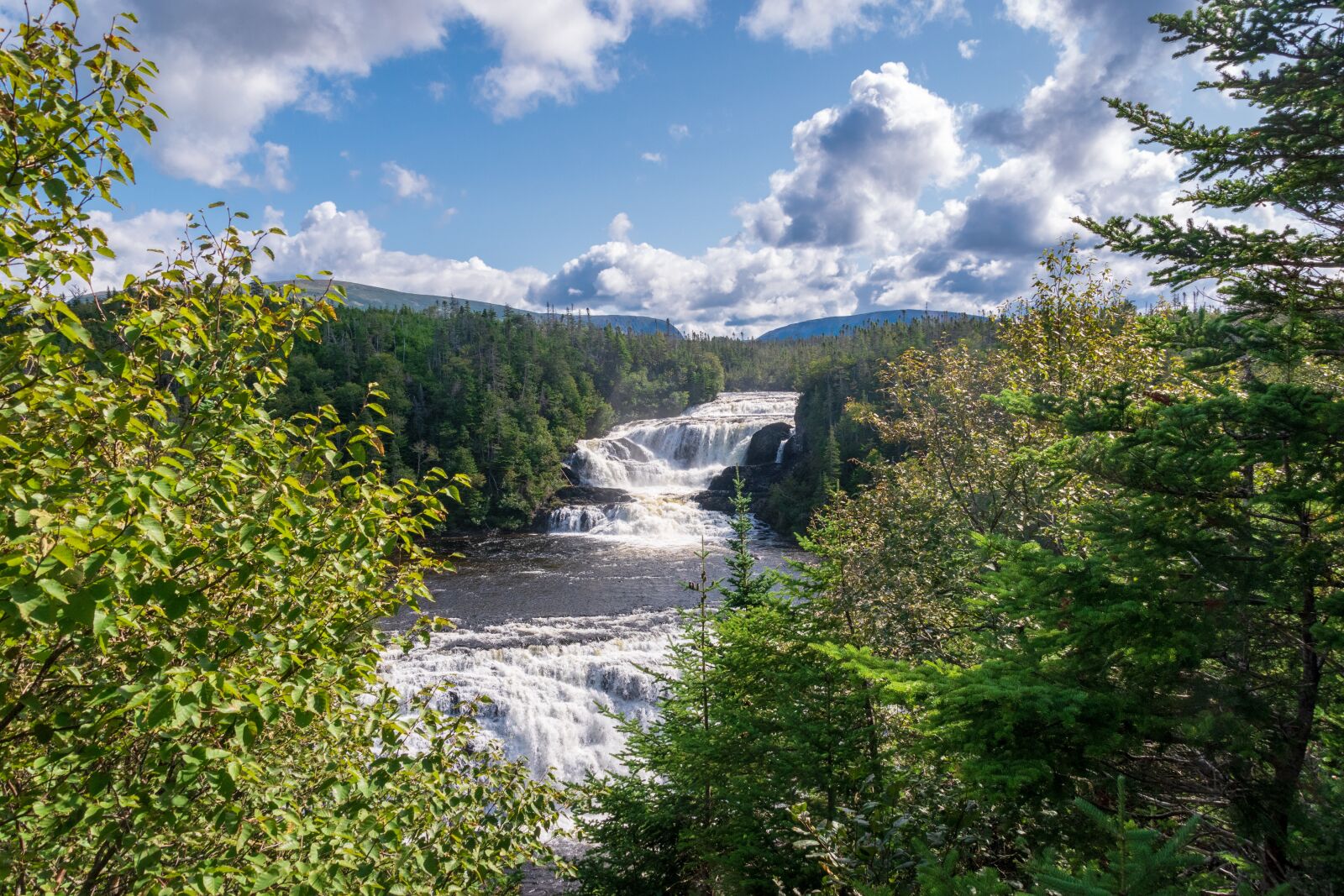 Nikon D5600 sample photo. Newfoundland, canada, waterfall photography