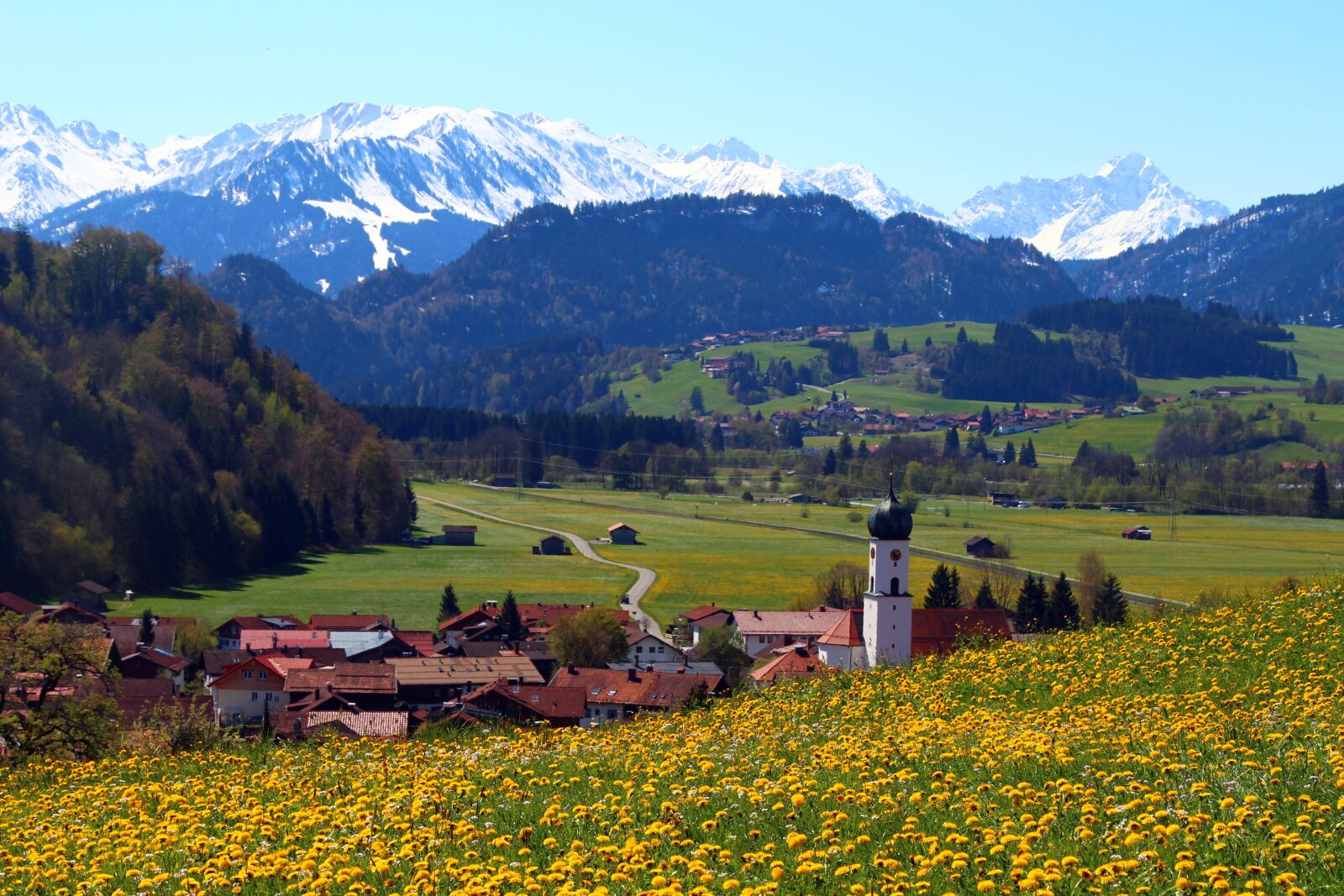 Canon EOS 700D (EOS Rebel T5i / EOS Kiss X7i) sample photo. Allgäu, spring, dandelion photography