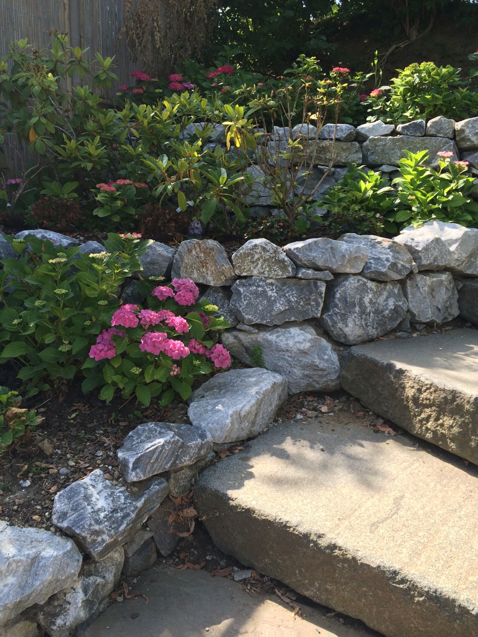 iPhone 5s back camera 4.12mm f/2.2 sample photo. Nature, flowers, meadow photography