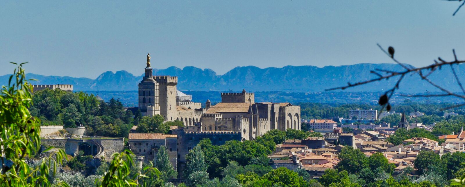 Panasonic Lumix DMC-FZ300 sample photo. City, palace, avignon photography
