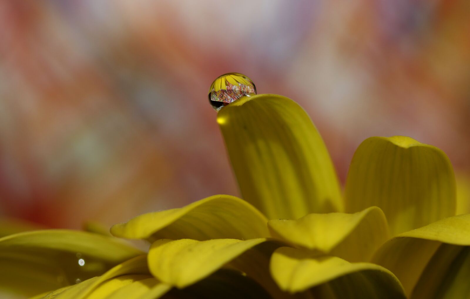 Canon EF-S 60mm F2.8 Macro USM sample photo. Drops, water, macro photography