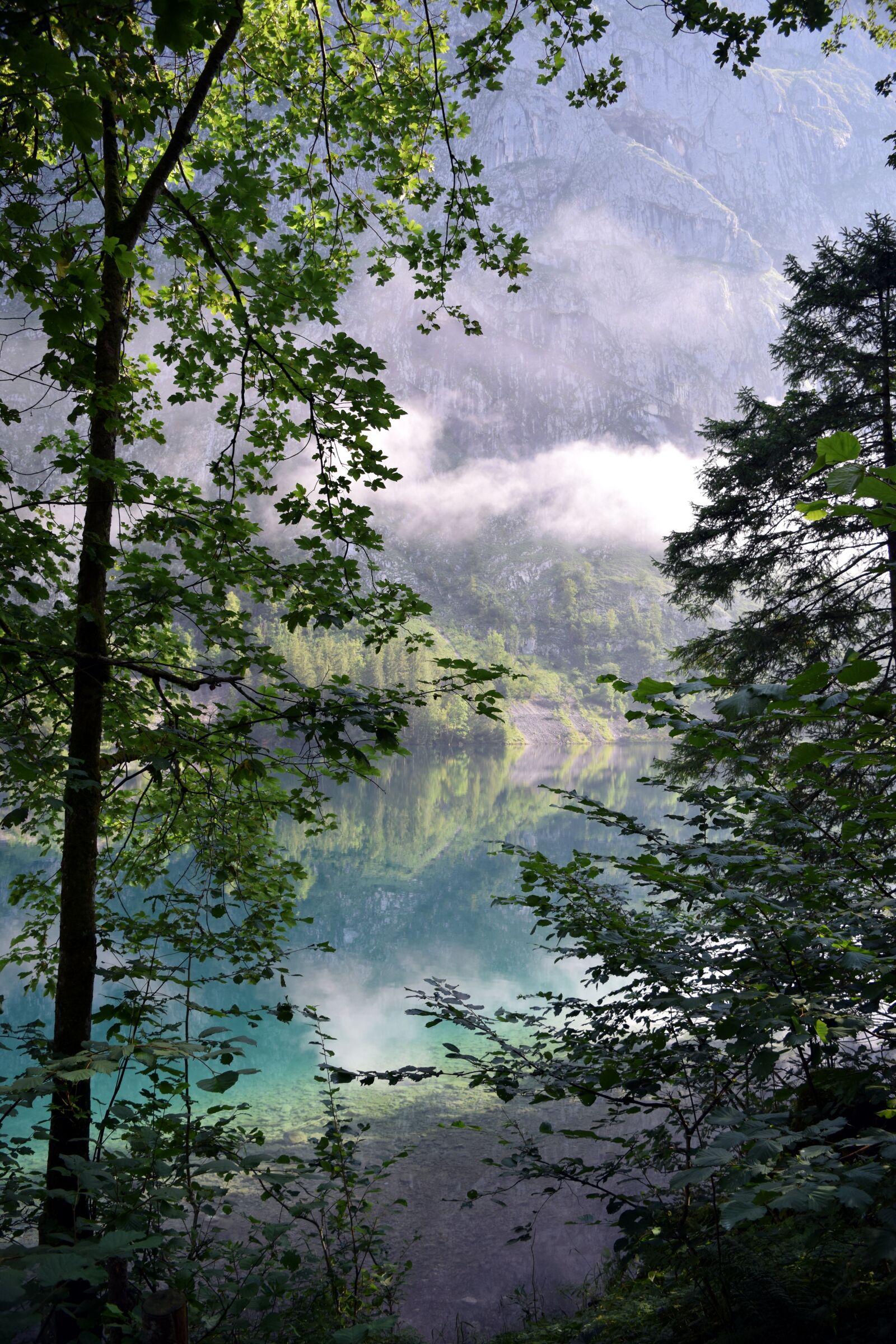 Nikon D5300 sample photo. Lake, trees, water photography