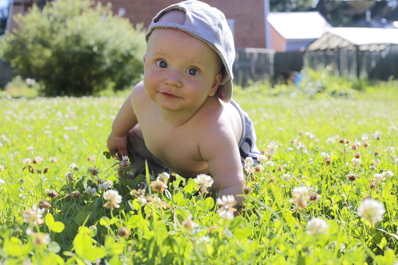 Canon EF 50mm F1.8 II sample photo. Kid, boy, nikita photography