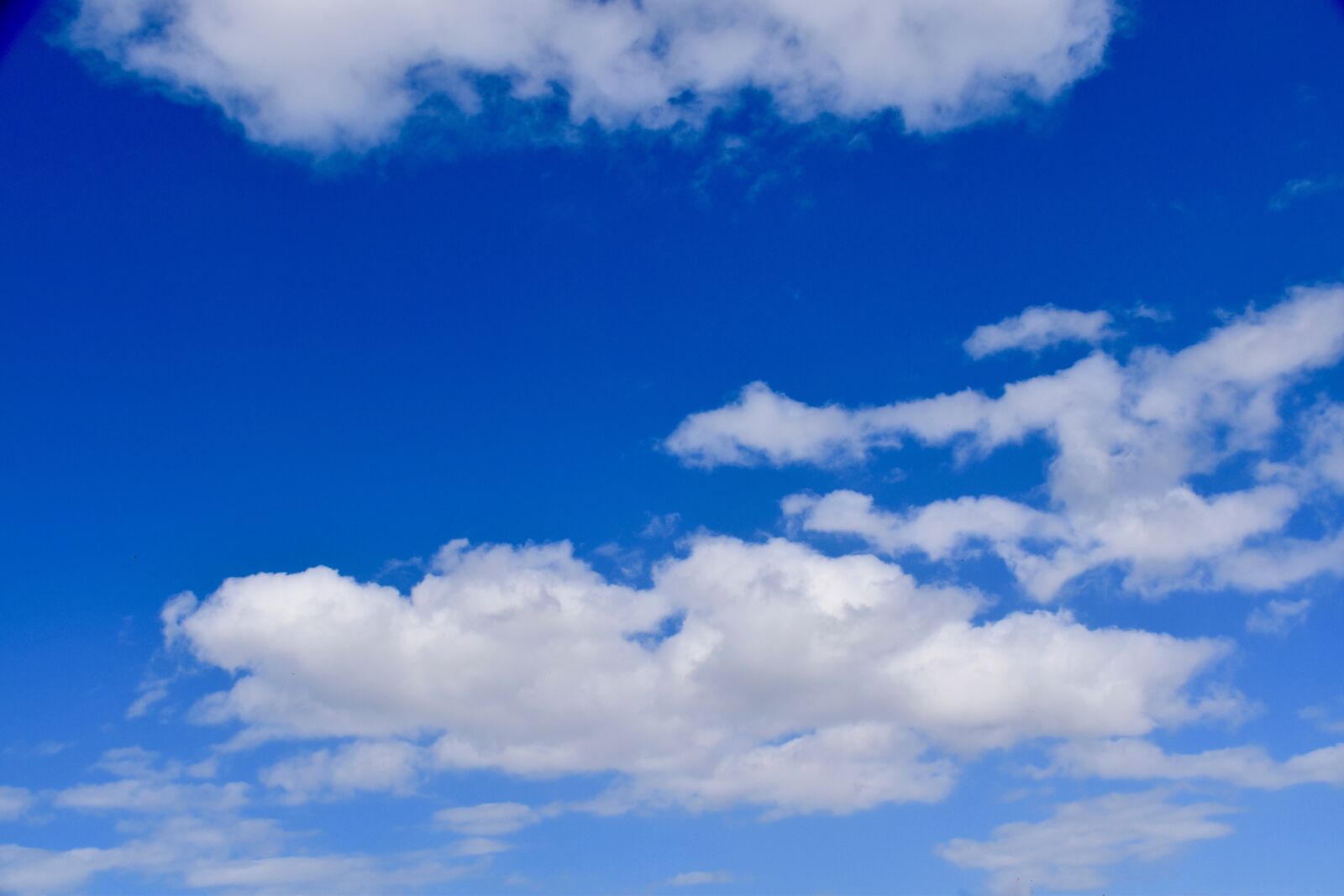 Nikon D5600 sample photo. Clouds, white clouds, cumulus photography