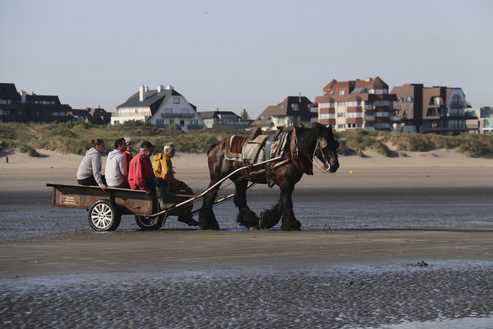 Canon EOS 70D sample photo. Fishing, horse, tradition photography