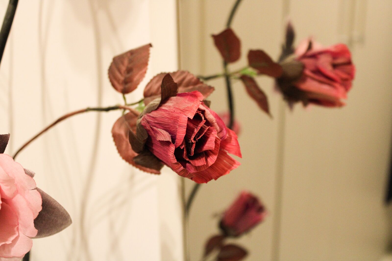 Canon EOS 2000D (EOS Rebel T7 / EOS Kiss X90 / EOS 1500D) sample photo. Roses, dried flowers, mirror photography
