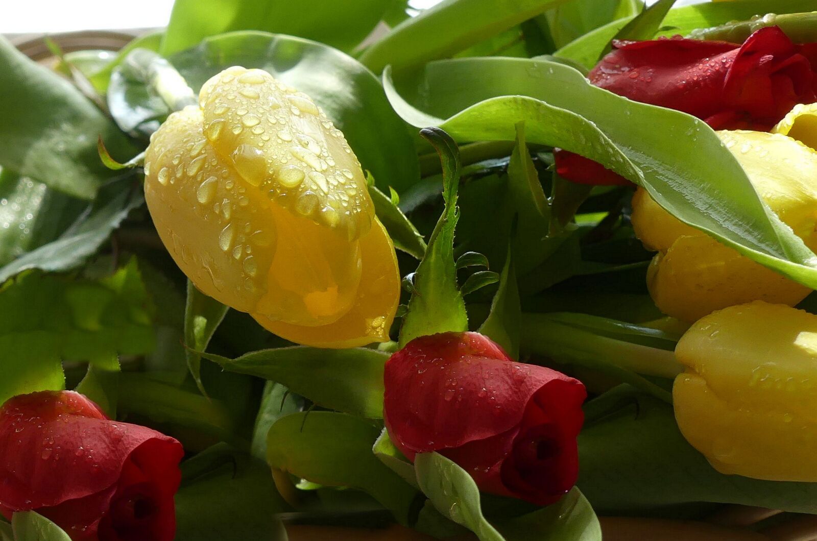 Panasonic Lumix DMC-FZ300 sample photo. Flowers, bouquet, close up photography