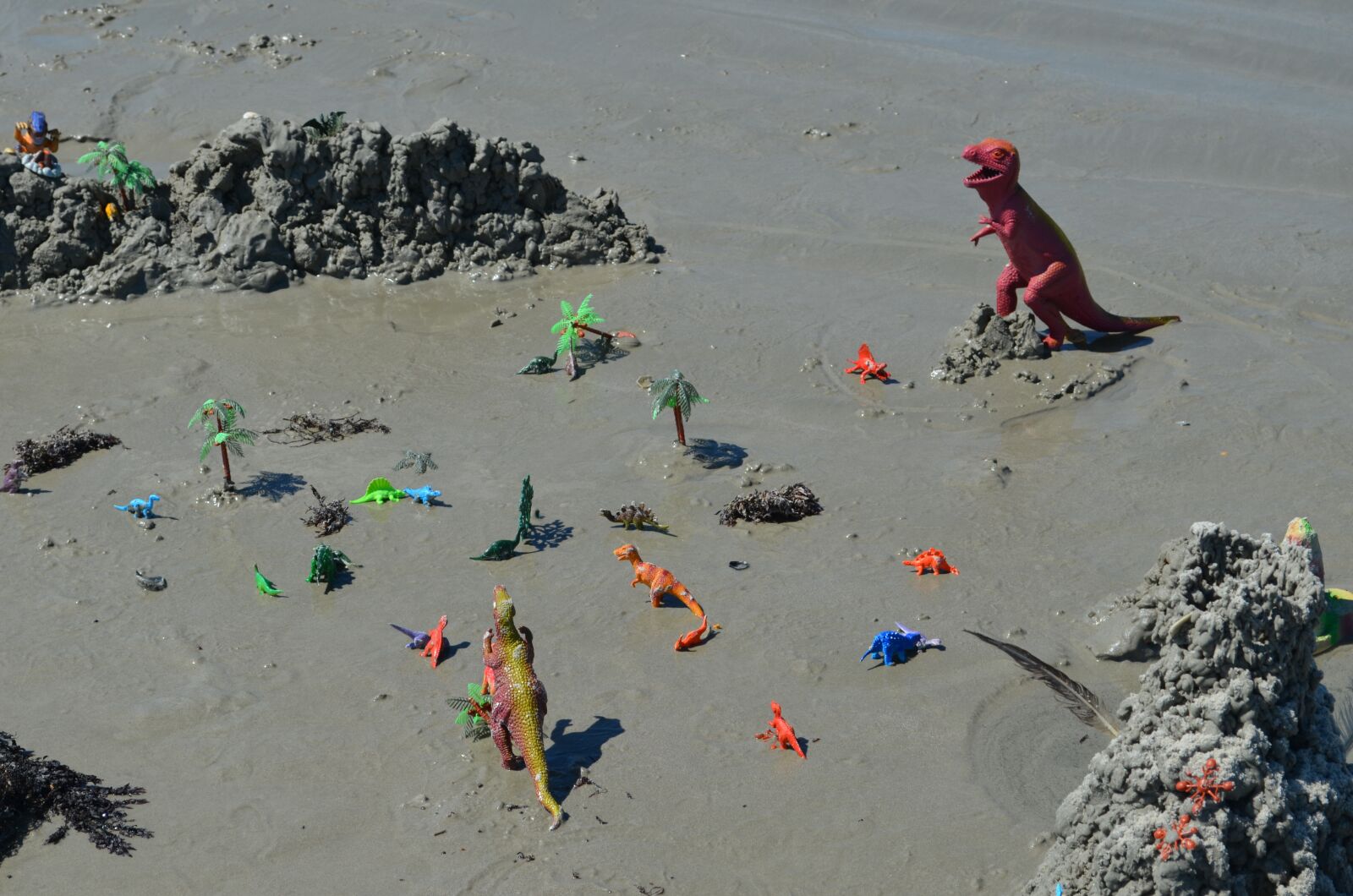 Nikon D5100 sample photo. Florida, florida beach, sand photography