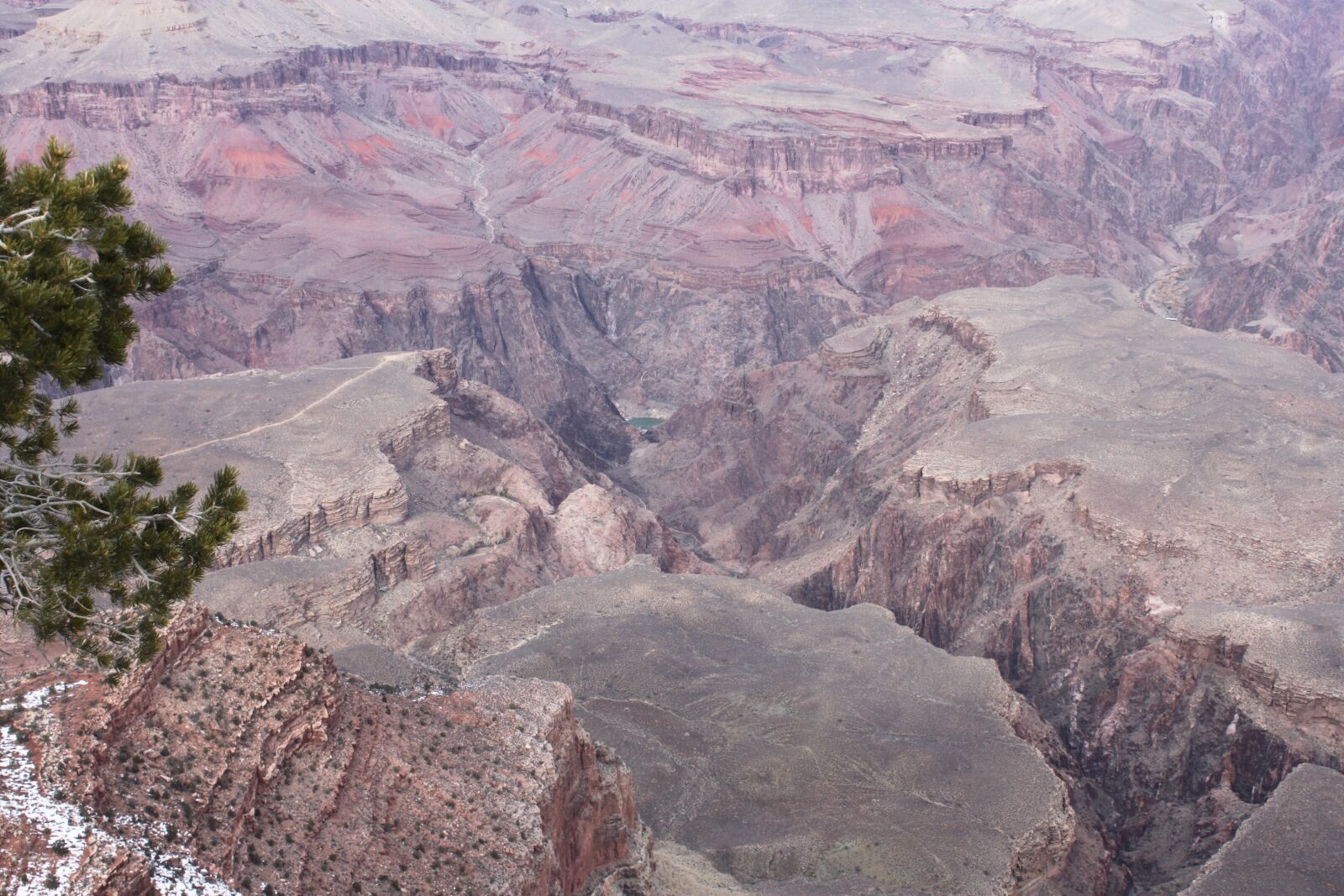 Canon EOS 500D (EOS Rebel T1i / EOS Kiss X3) sample photo. Grandcanyon, arizona, sonoran photography