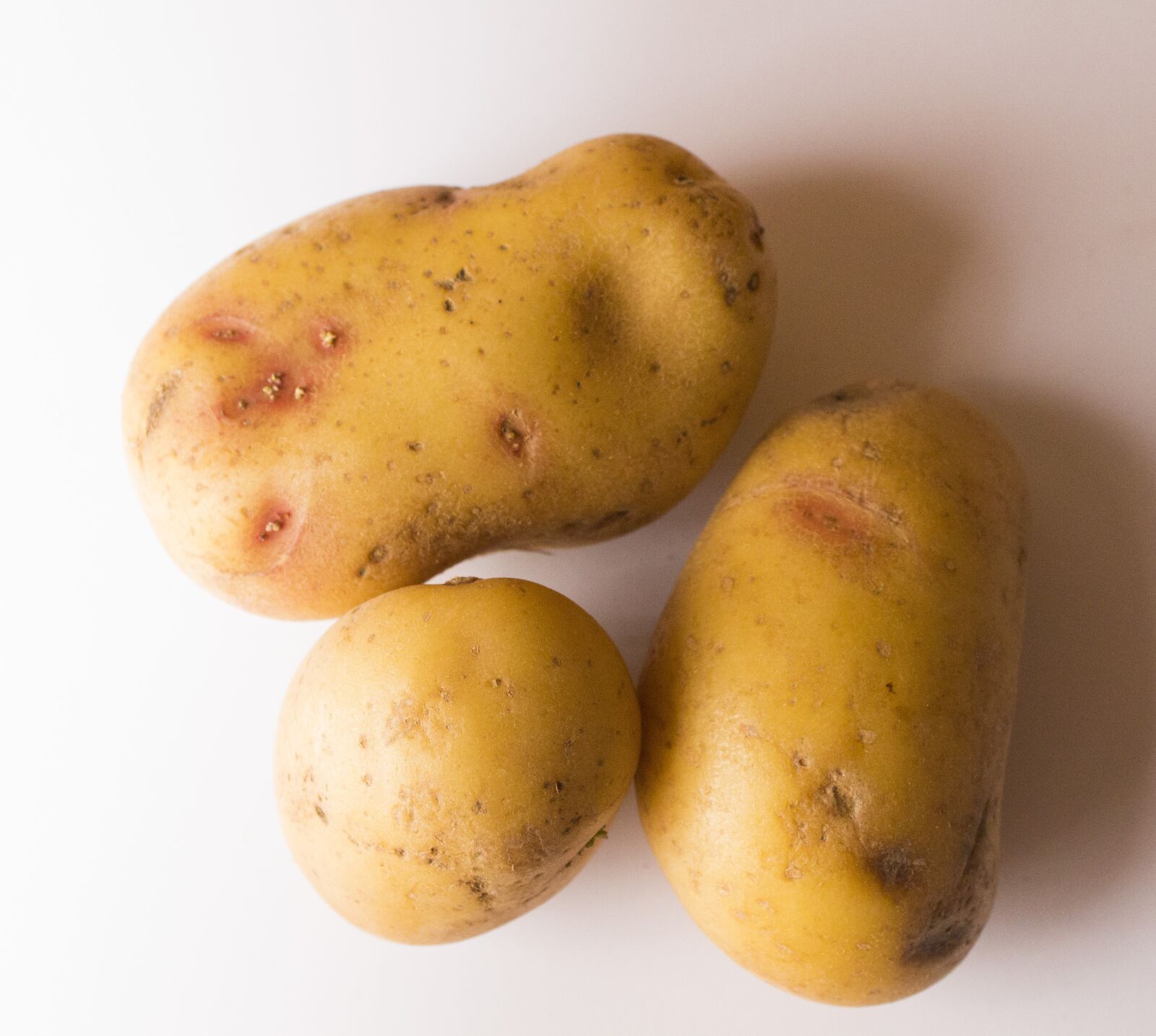 Canon EOS 650D (EOS Rebel T4i / EOS Kiss X6i) sample photo. Potato, potatoes, food photography