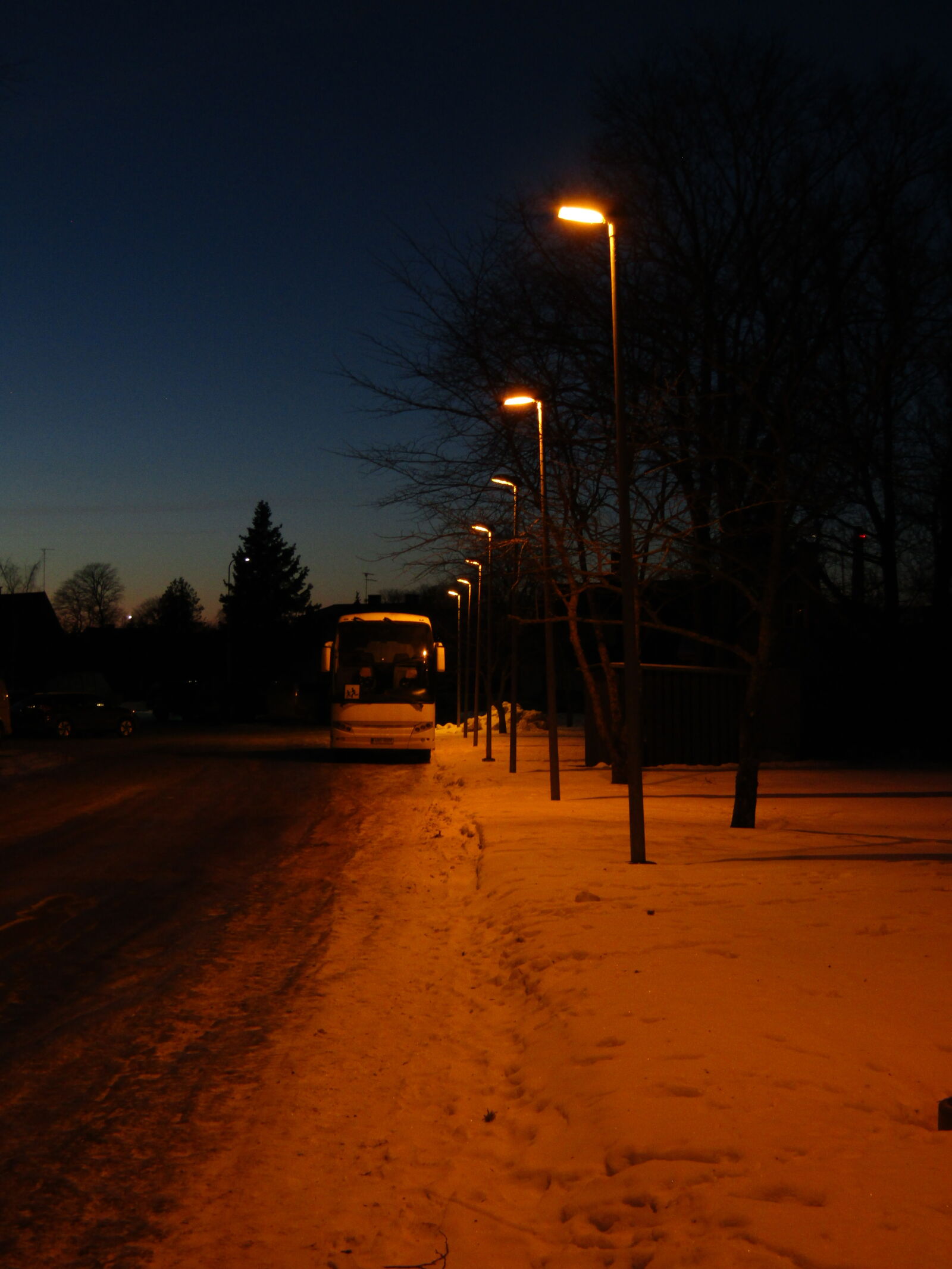 Canon PowerShot SX420 IS sample photo