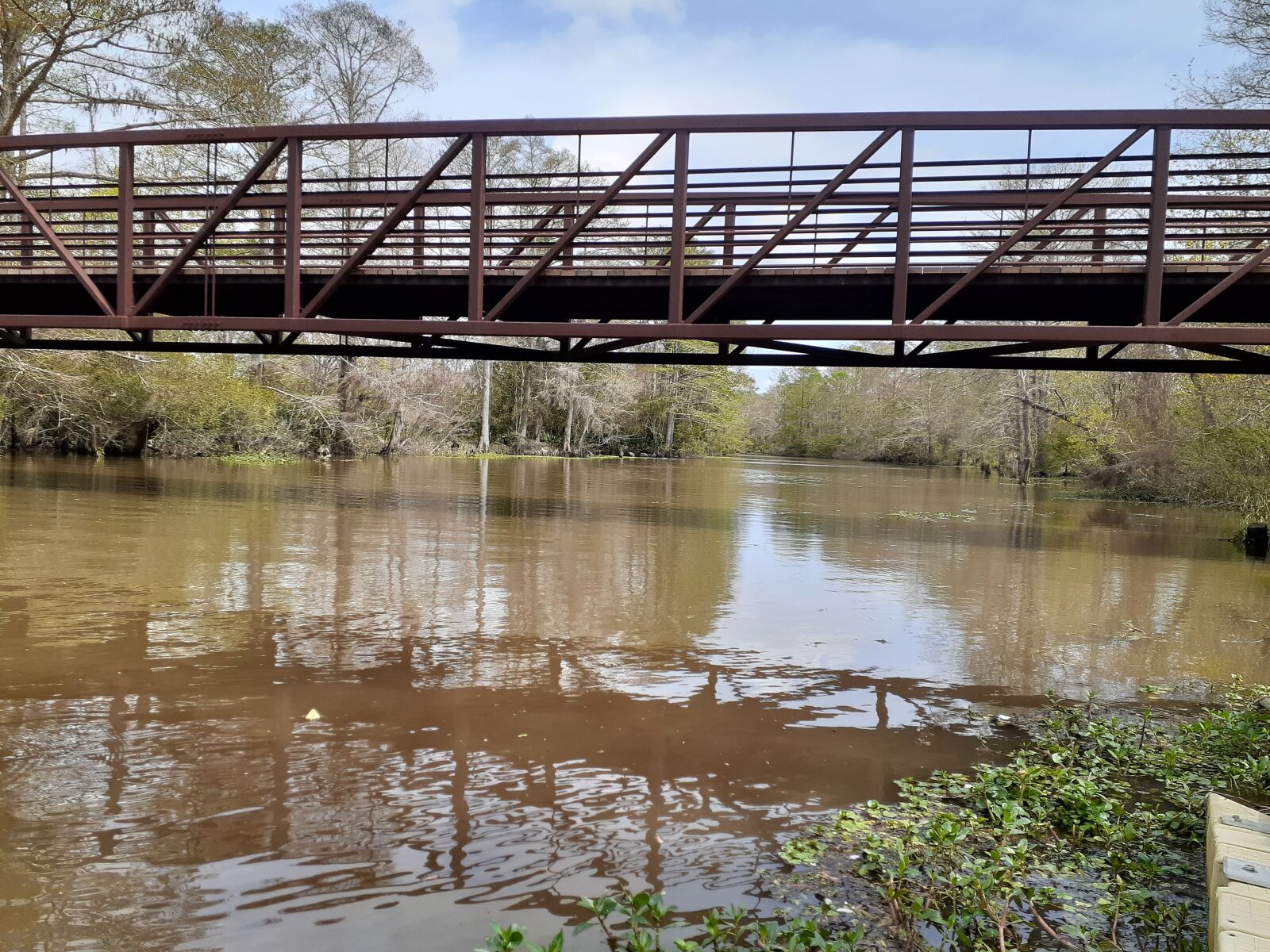 Samsung Galaxy A20 sample photo. Outdoors, swamp, louisiana bridge photography