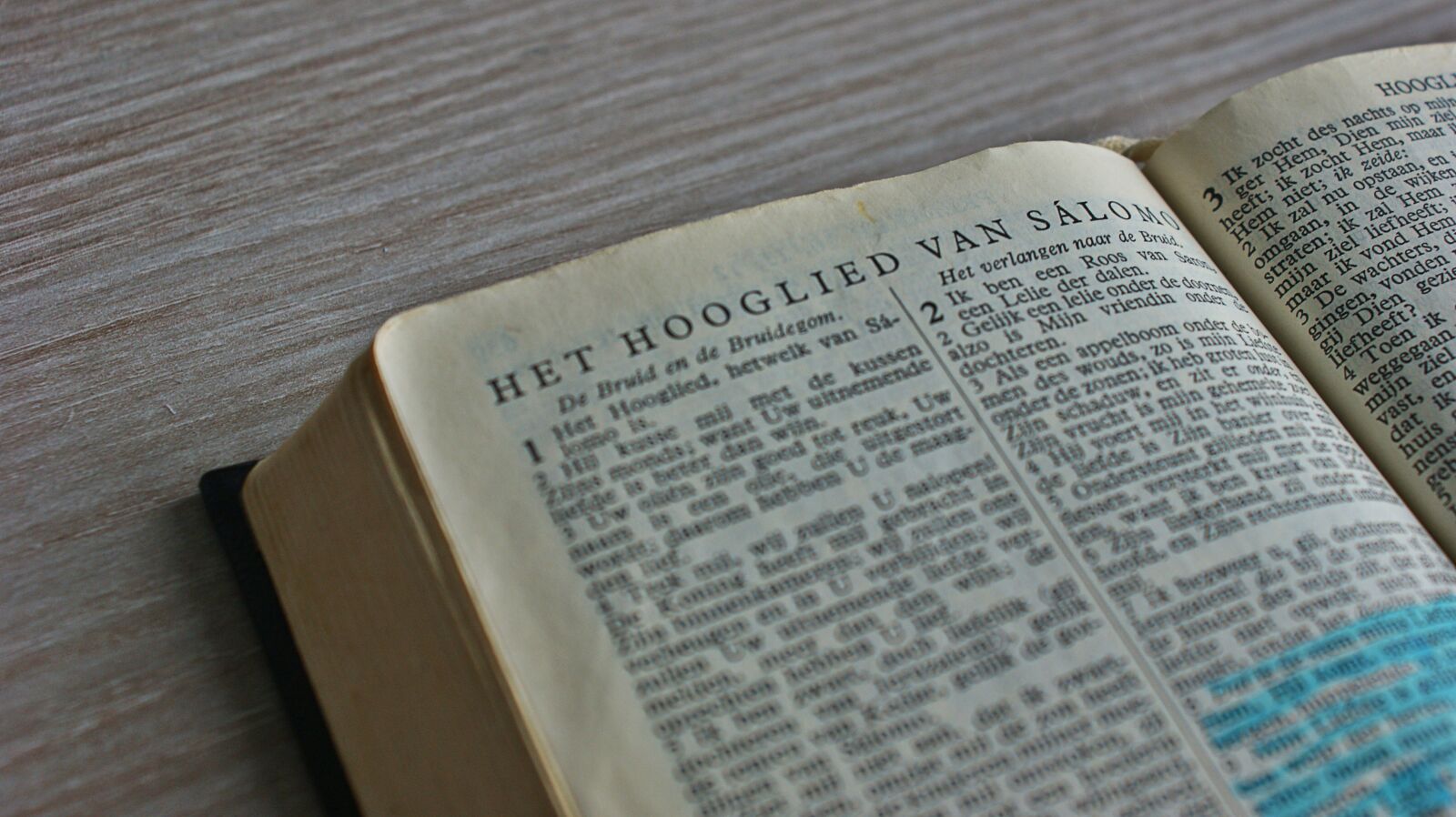 Sony Alpha DSLR-A350 sample photo. Song of songs, love photography