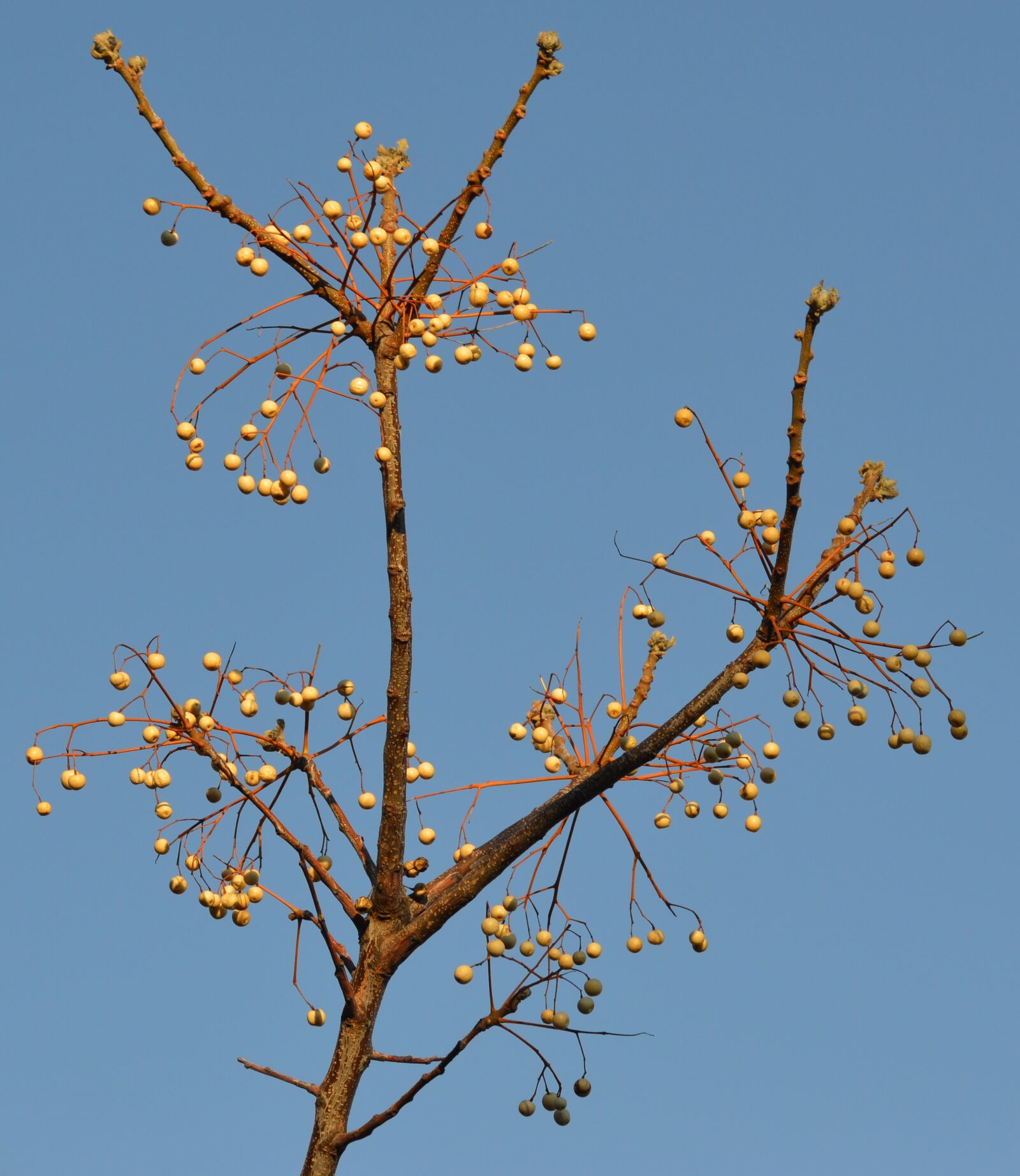 Nikon D3200 sample photo. Spring, sea, croatia photography