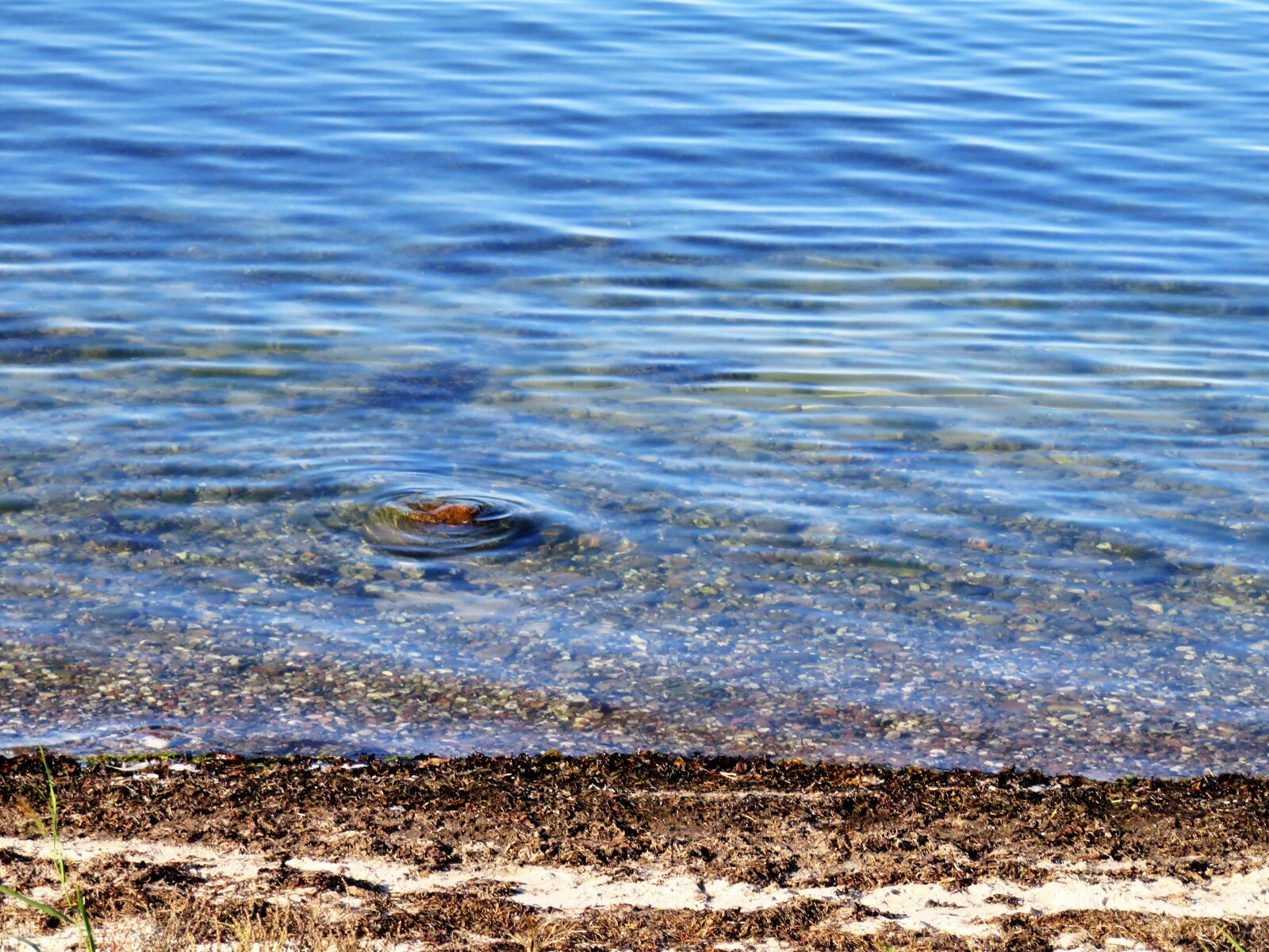Canon PowerShot SX710 HS sample photo. Sea, lake, water photography