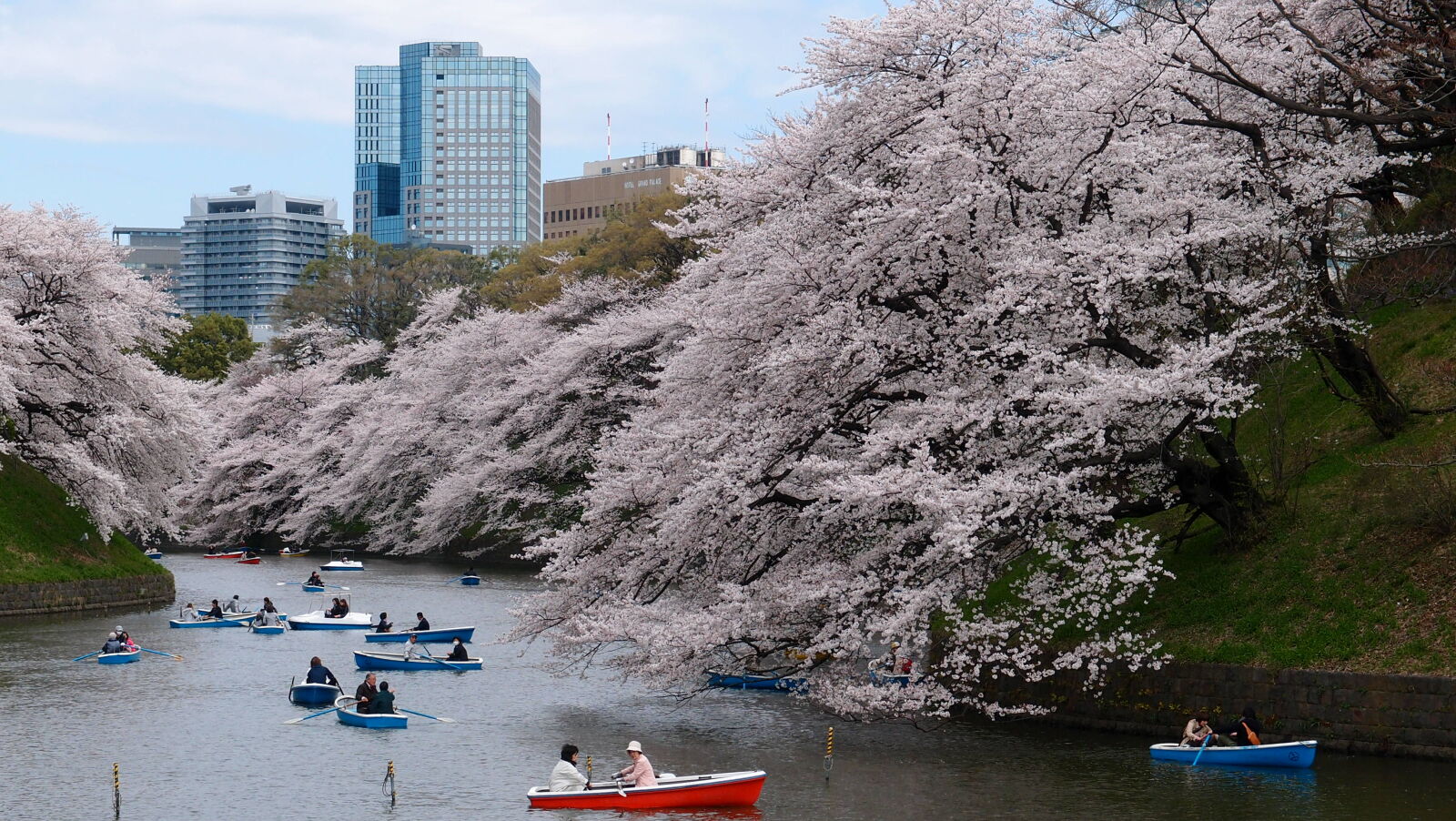 Olympus XZ-1 sample photo. Boat, cherry, blossom, park photography
